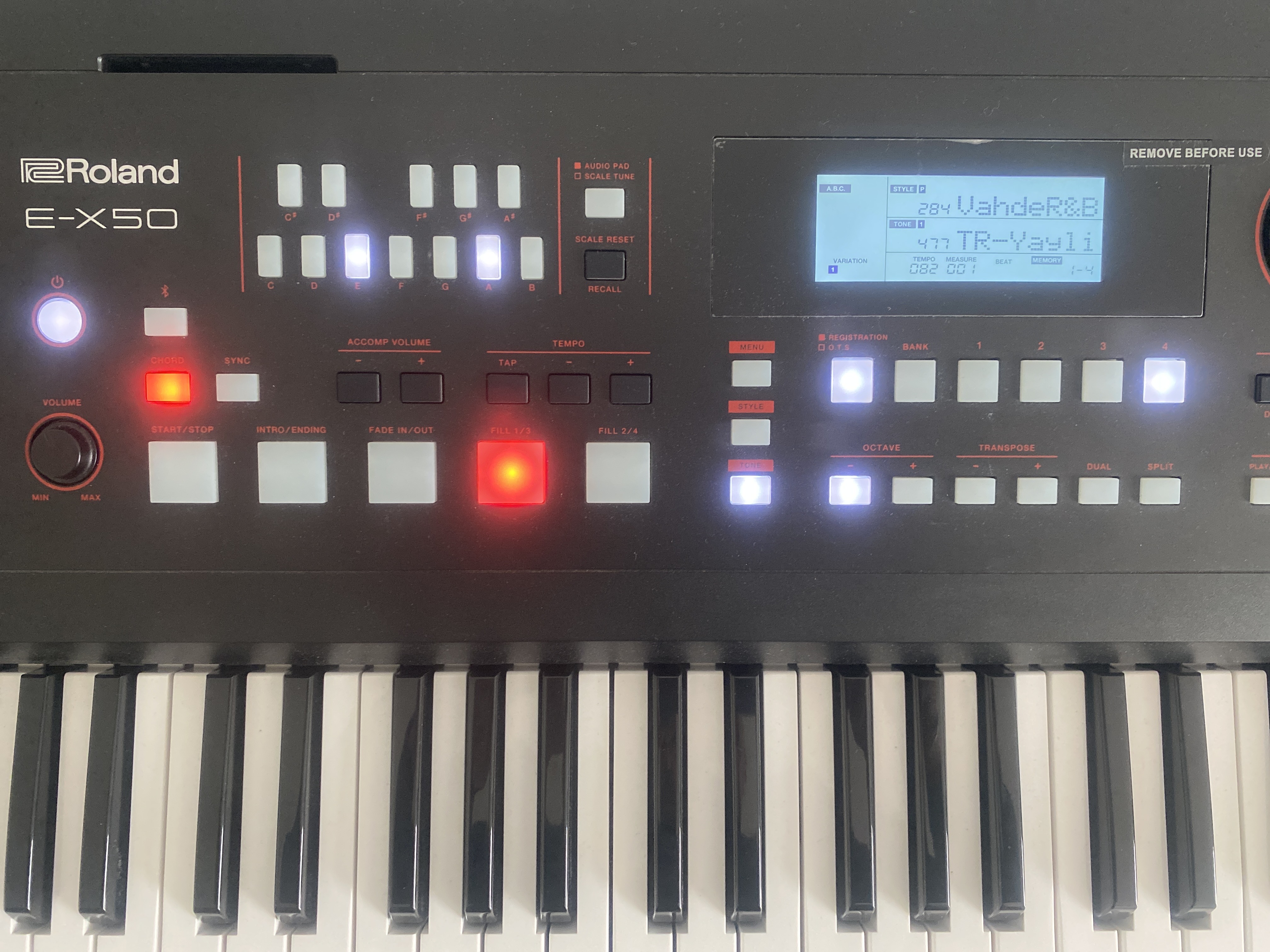 roland E-x50 org 1