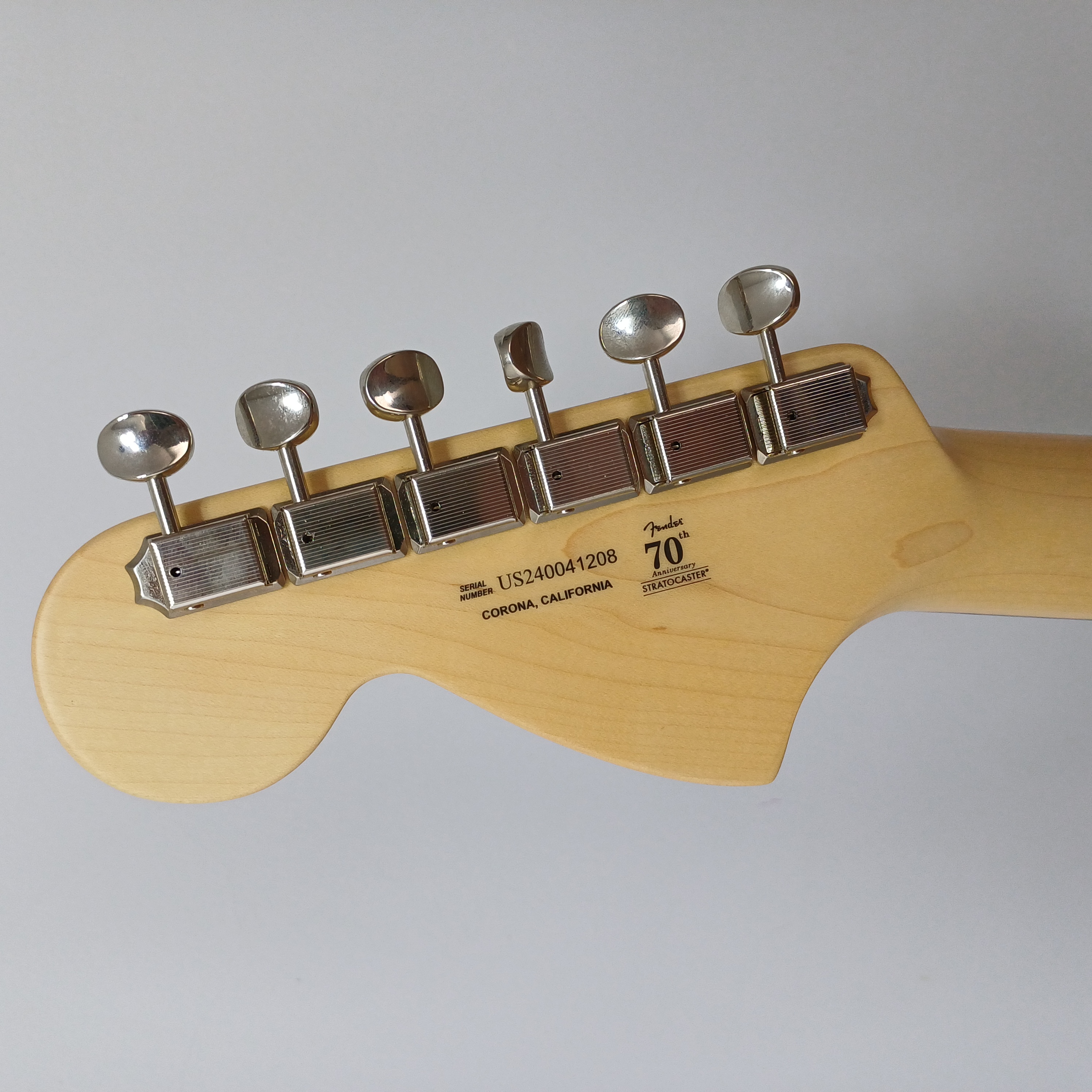 Fender Stratocaster American Performer 4