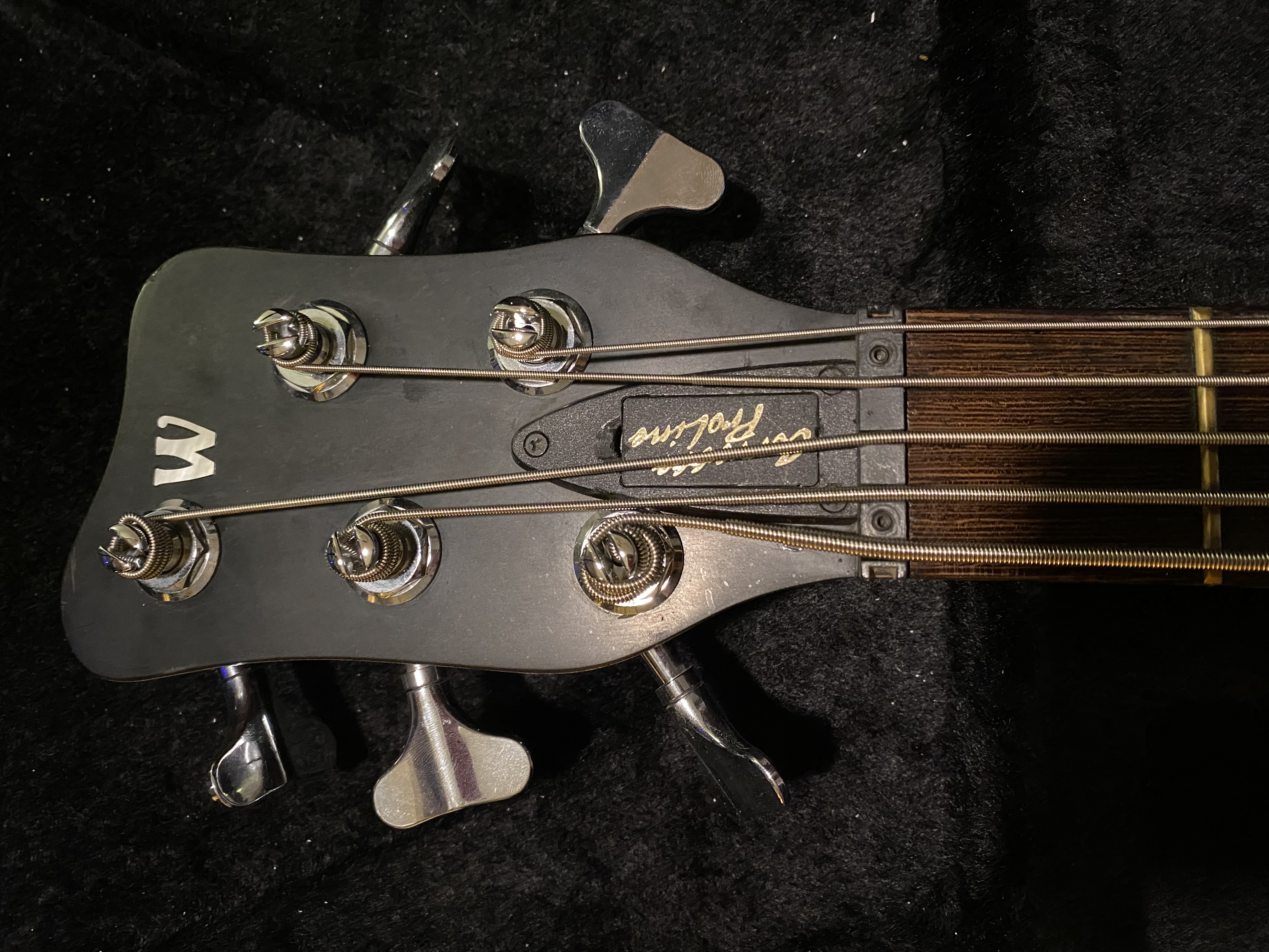 Corvette proline 5 3