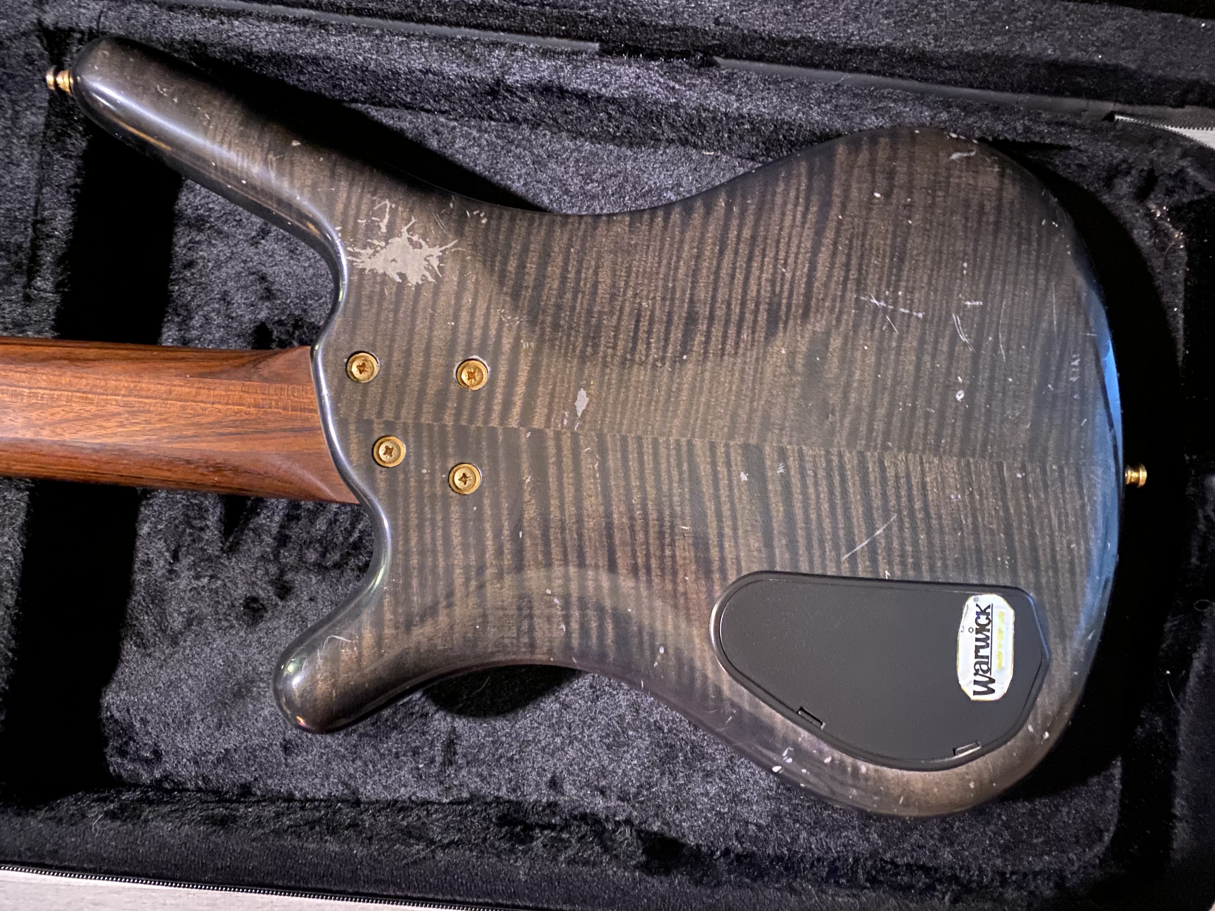 Corvette proline 5 6