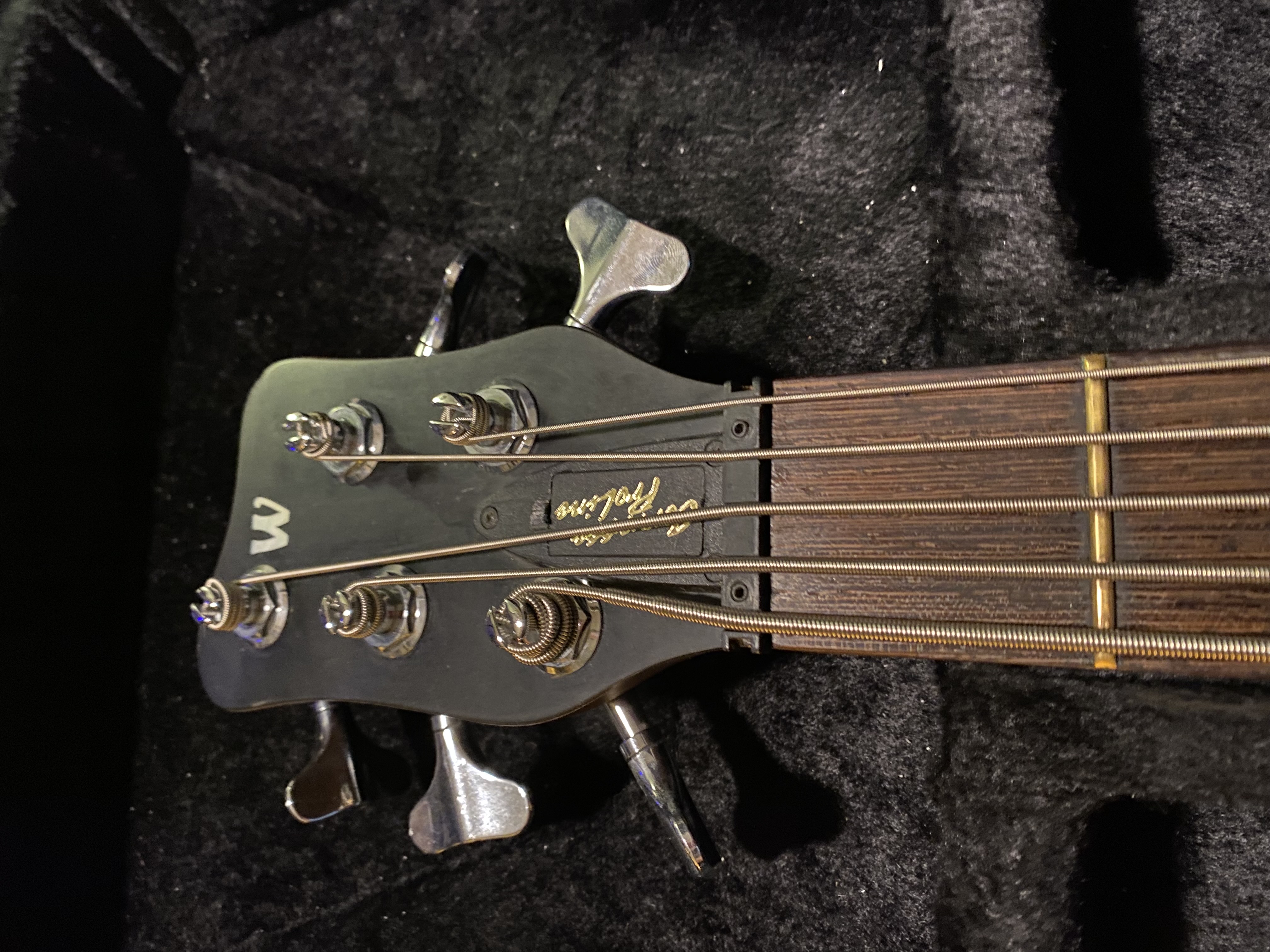 Corvette proline 5 2