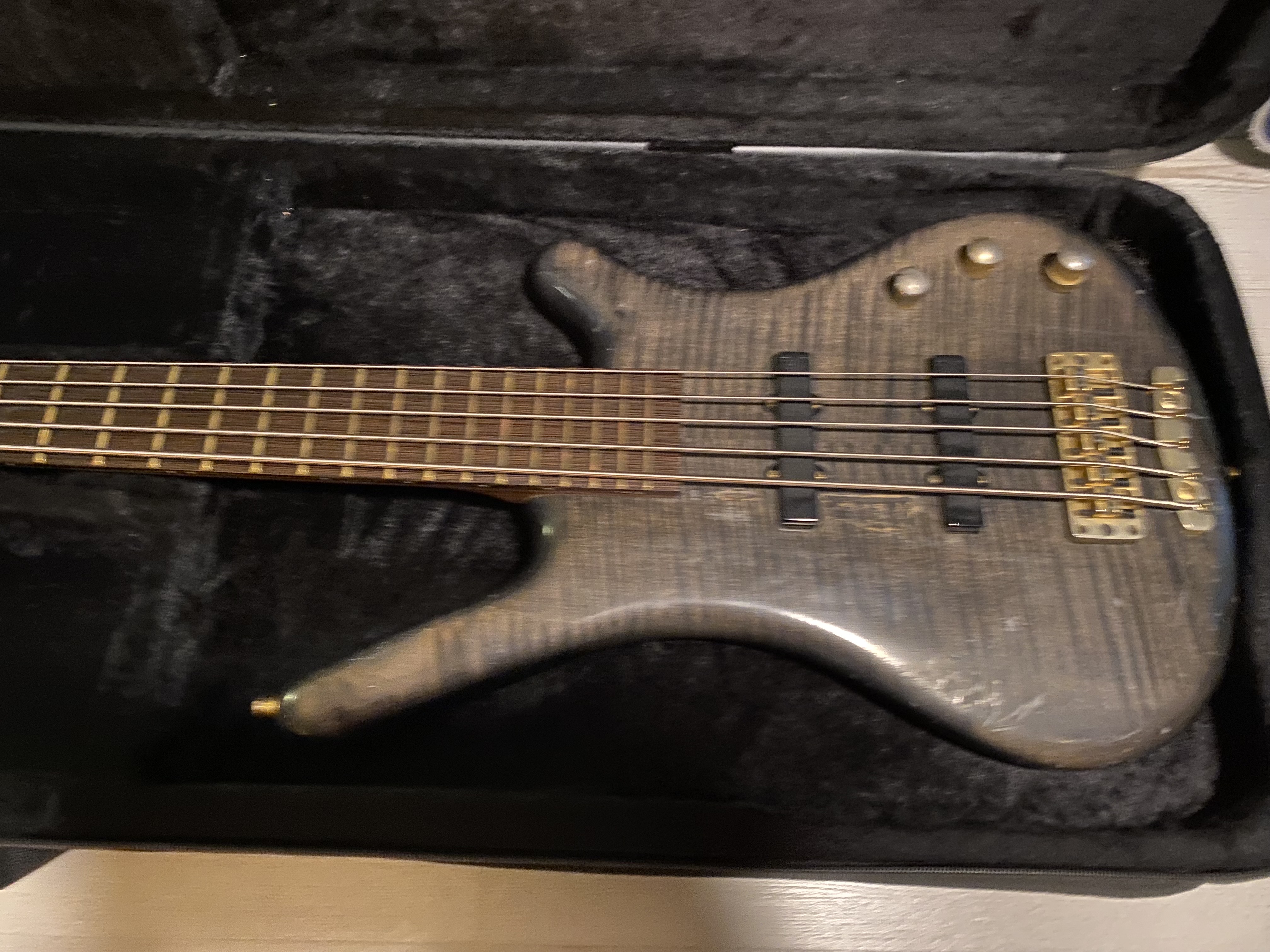 Corvette proline 5 1