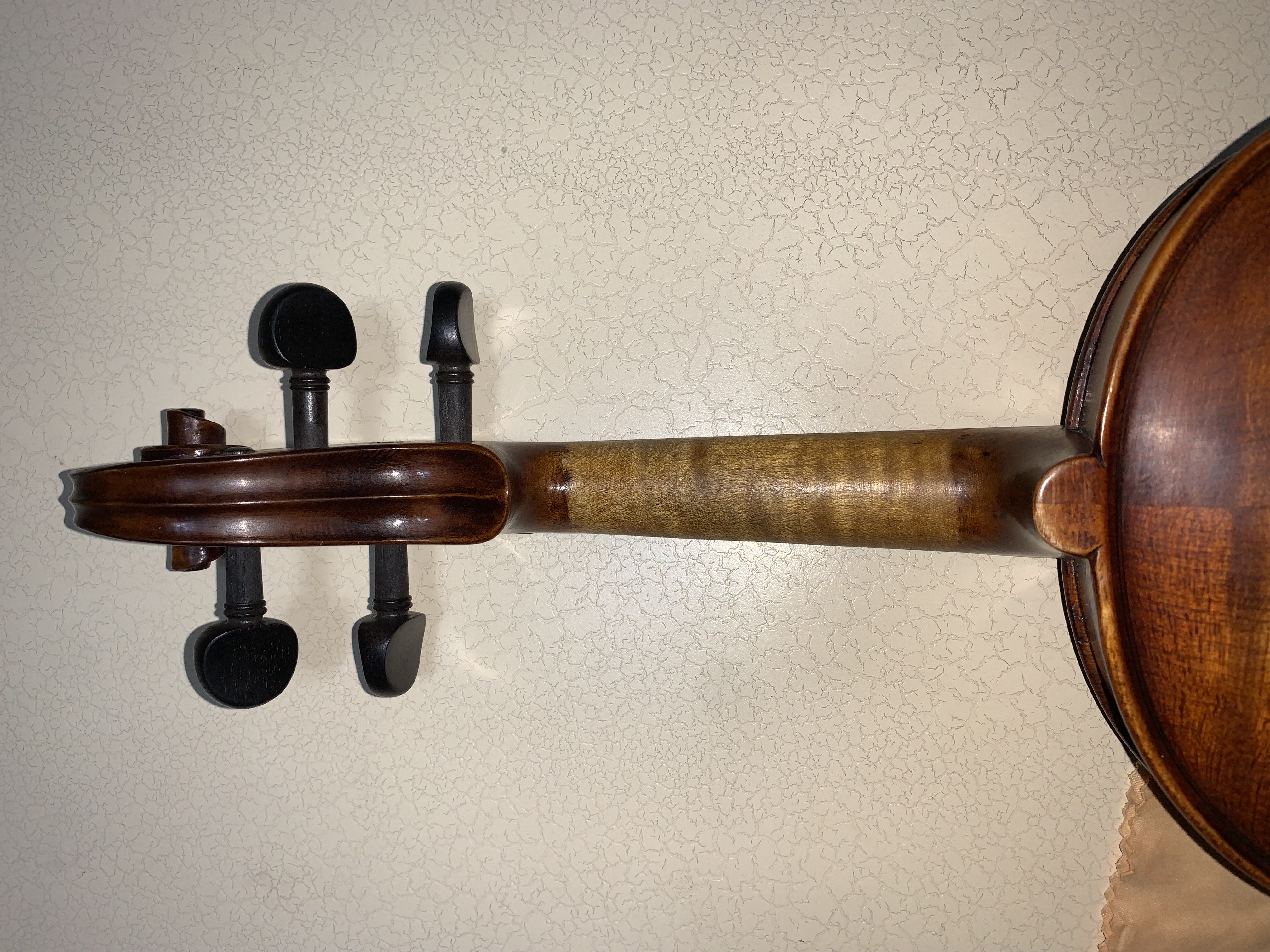 profesyonel keman Stentor Verona 10