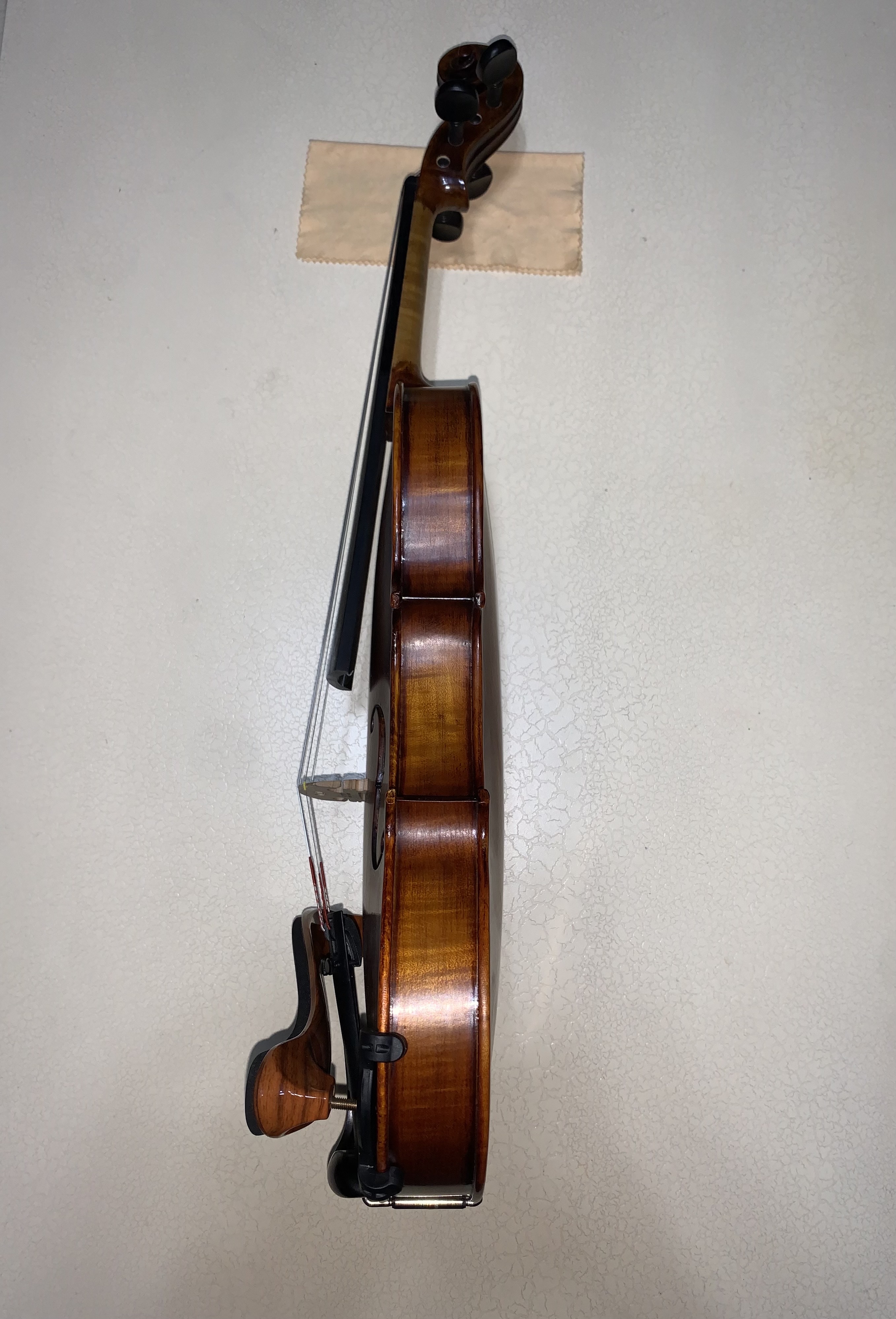 profesyonel keman Stentor Verona 5