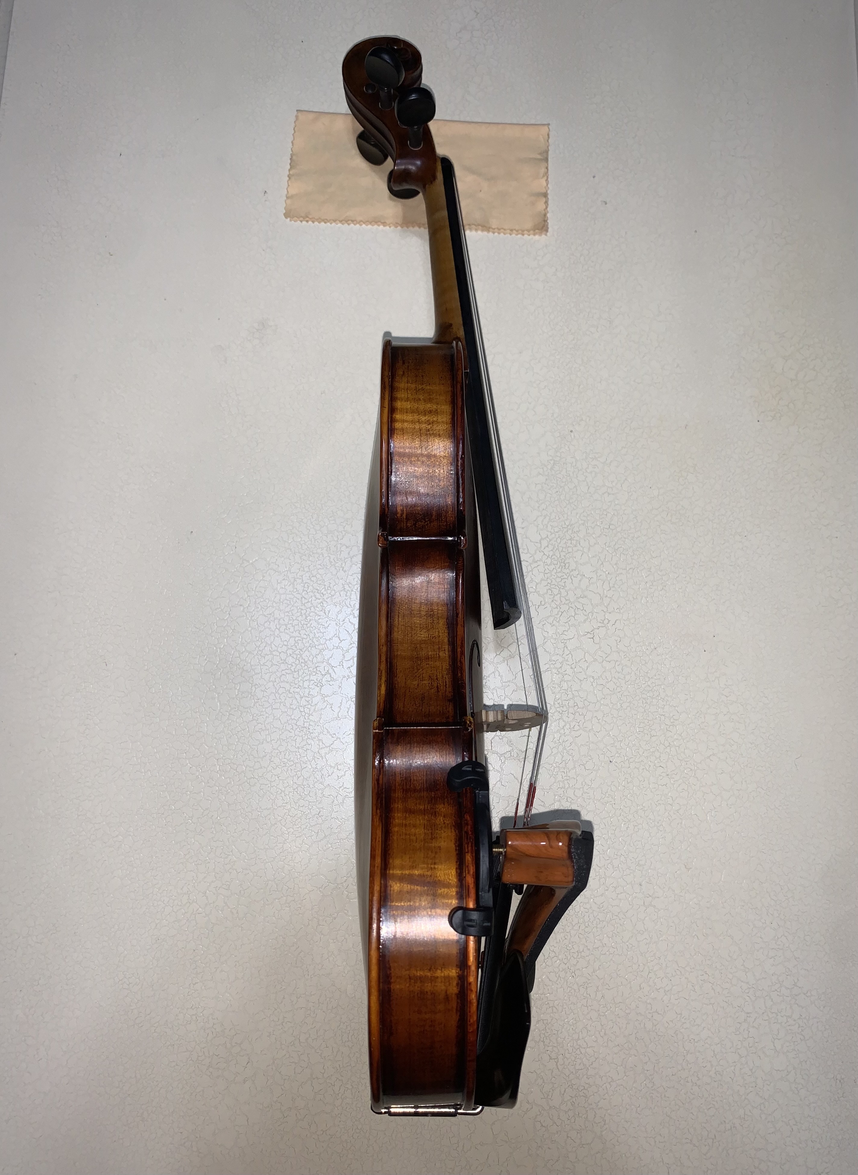 profesyonel keman Stentor Verona 4