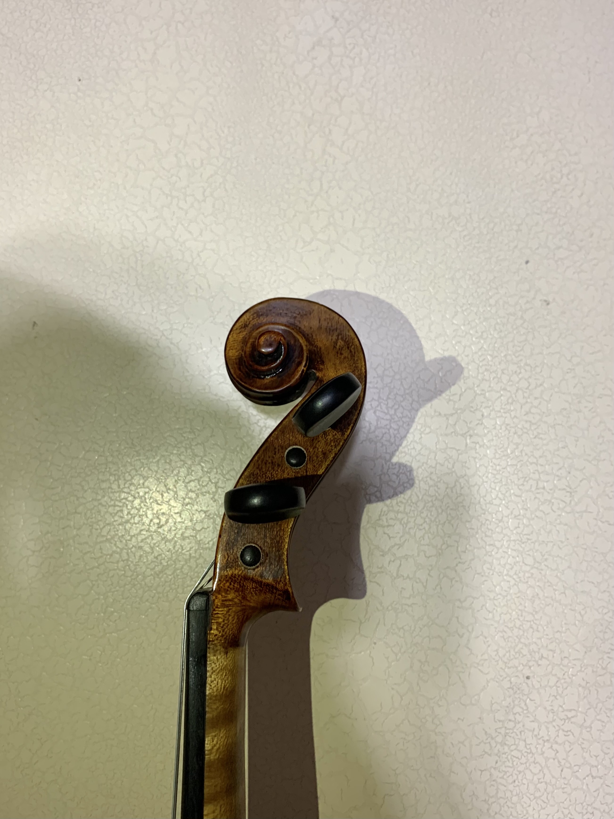 profesyonel keman Stentor Verona 9