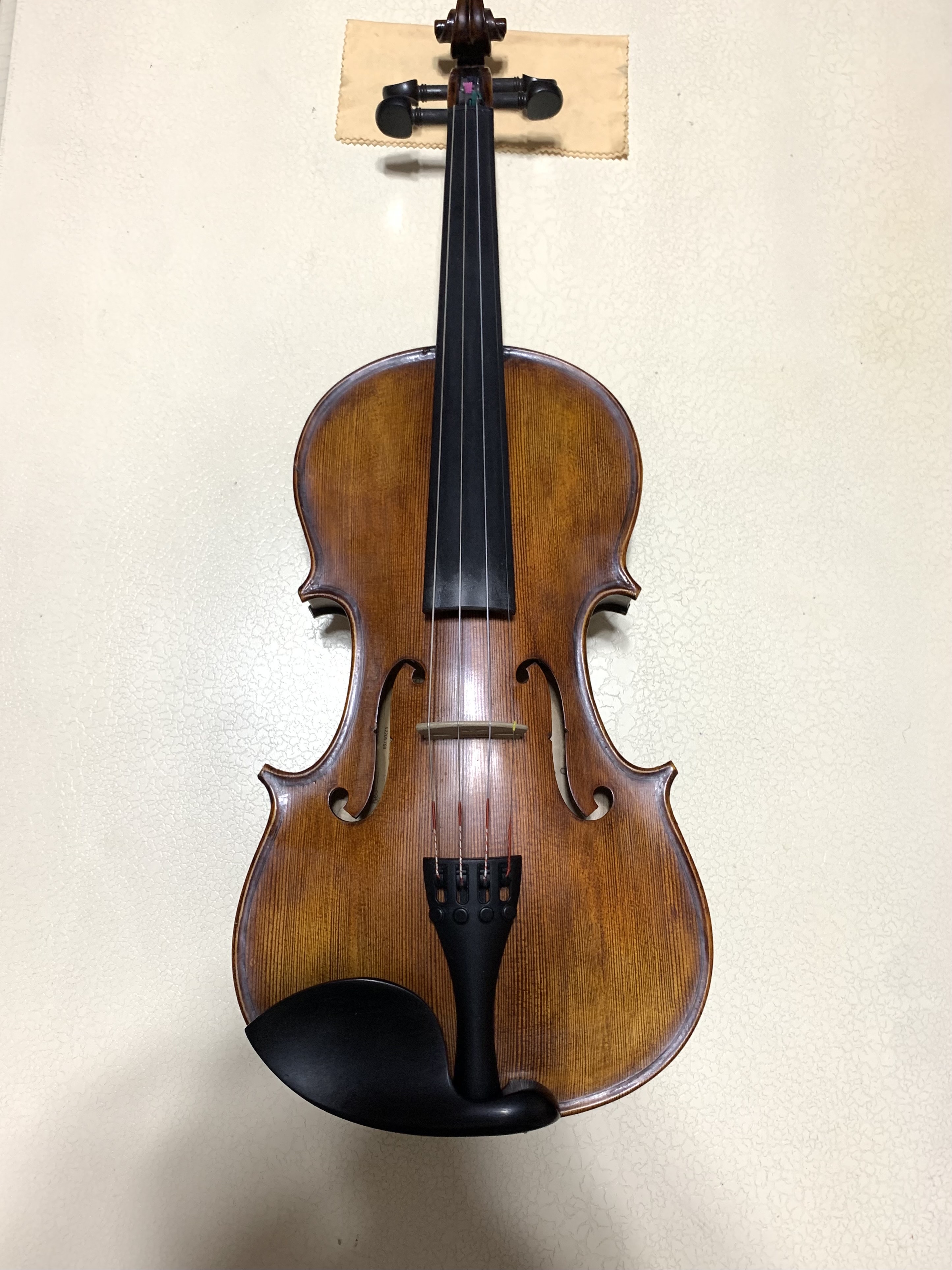 profesyonel keman Stentor Verona 1