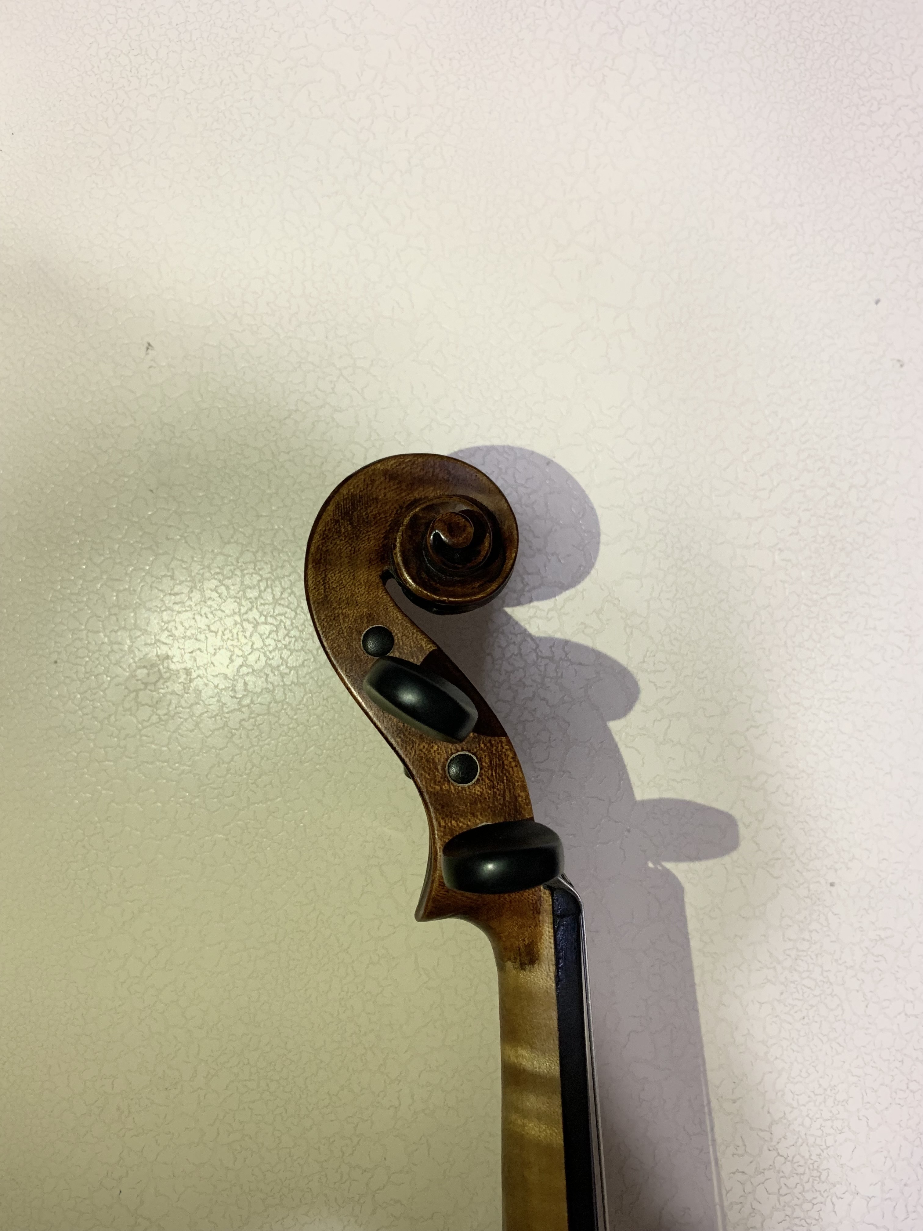 profesyonel keman Stentor Verona 8