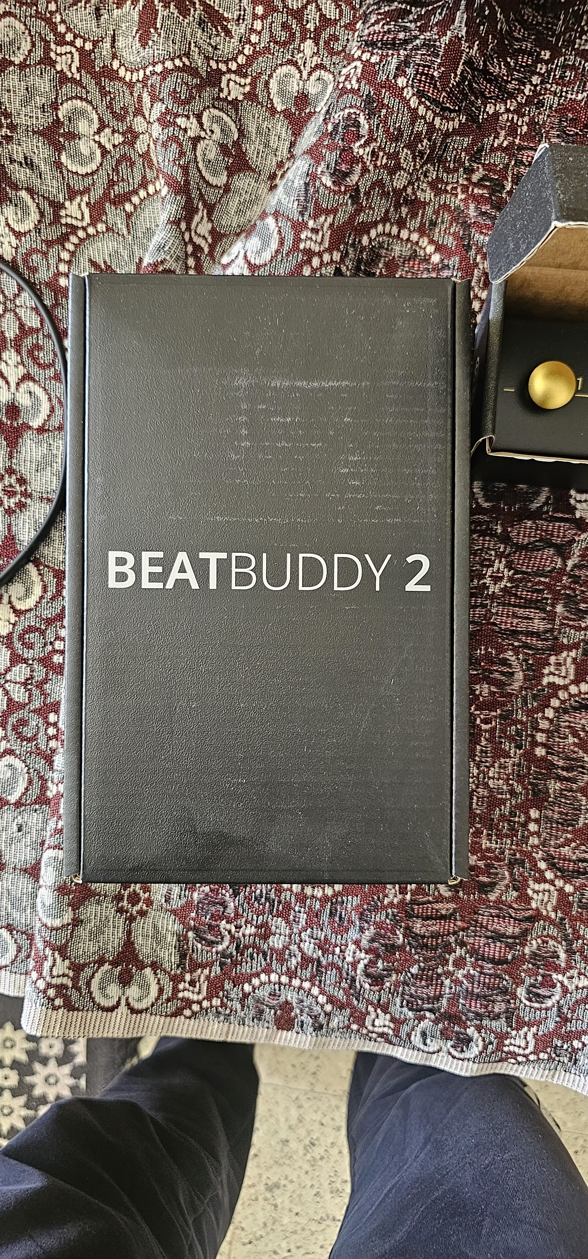 Singular Sound BeatBuddy 2 4