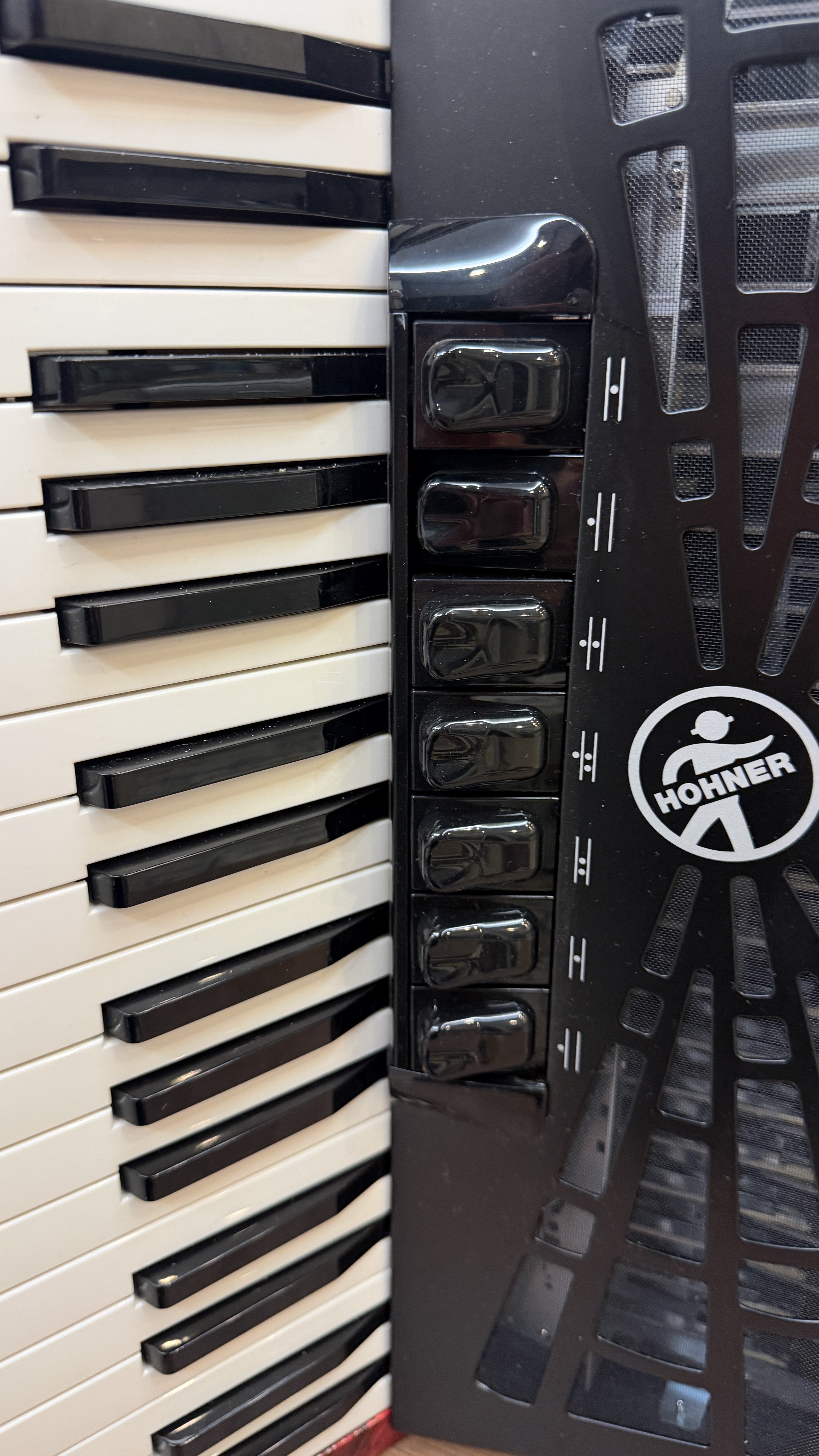 hohner bravo 3 120 bass 5