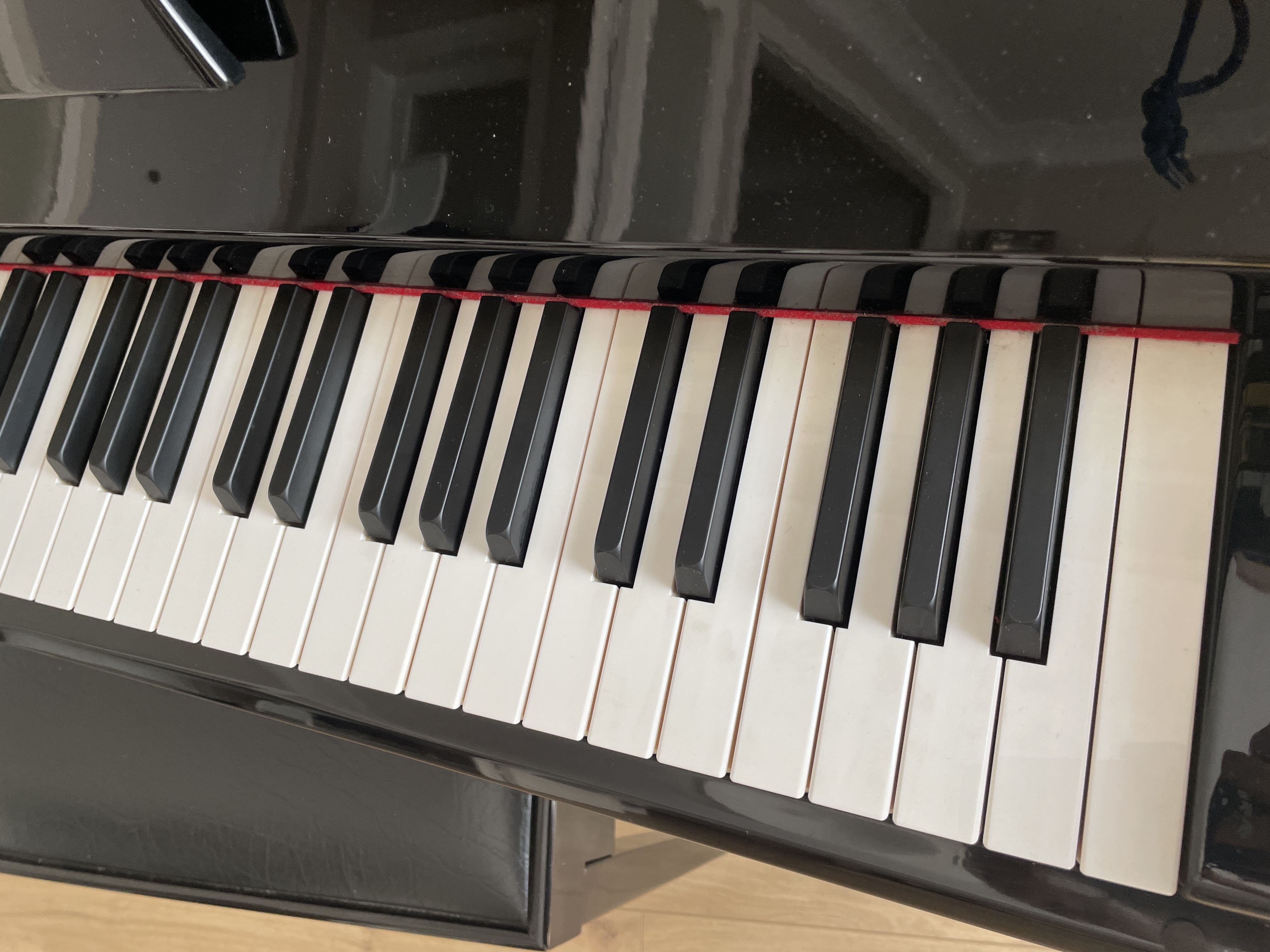Steigerman Piyano 6