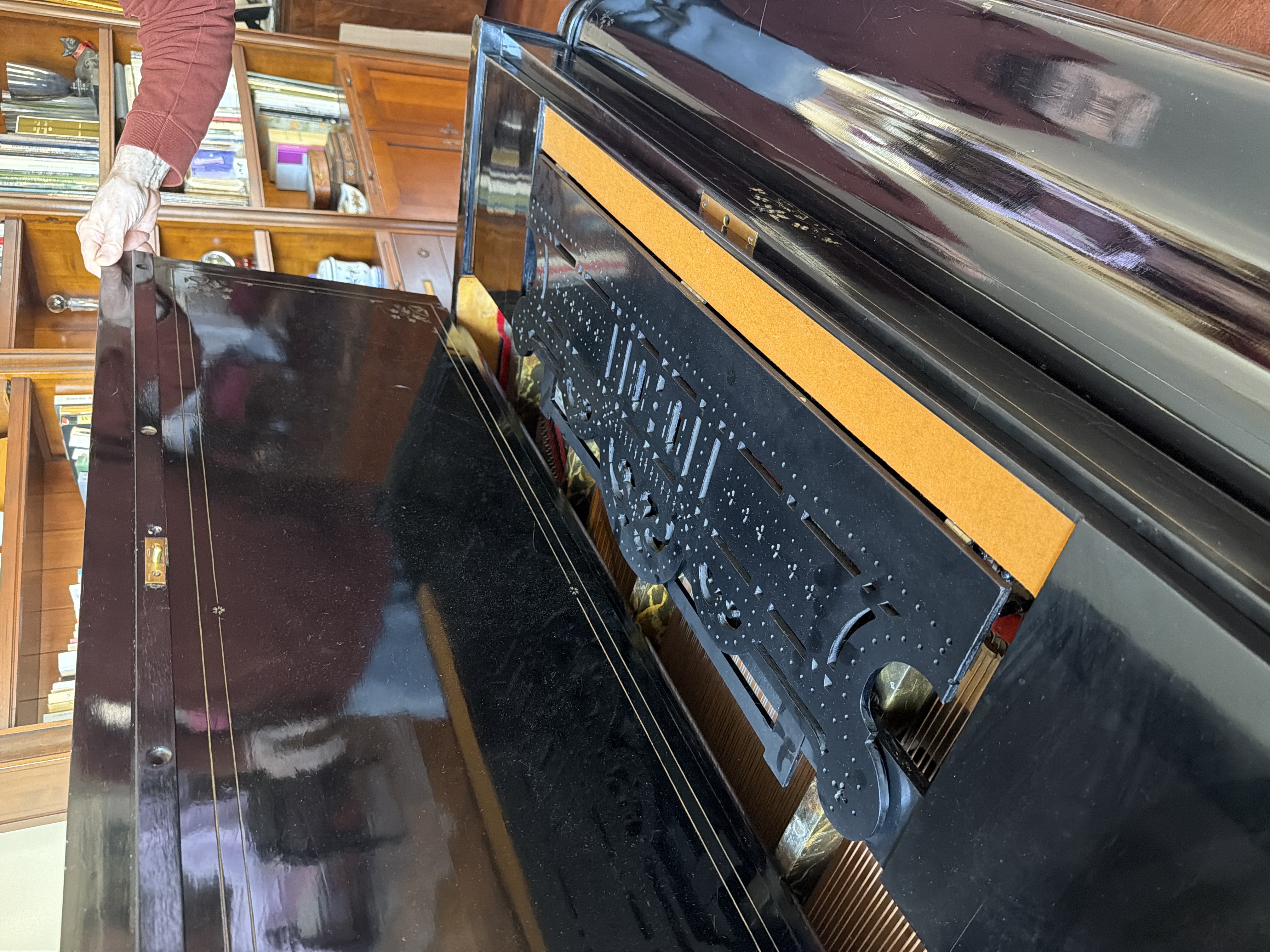 Steinway Kuyruklu Piano 8