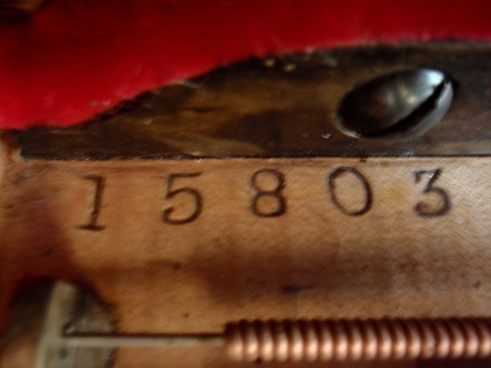 Steinway Kuyruklu Piano 2