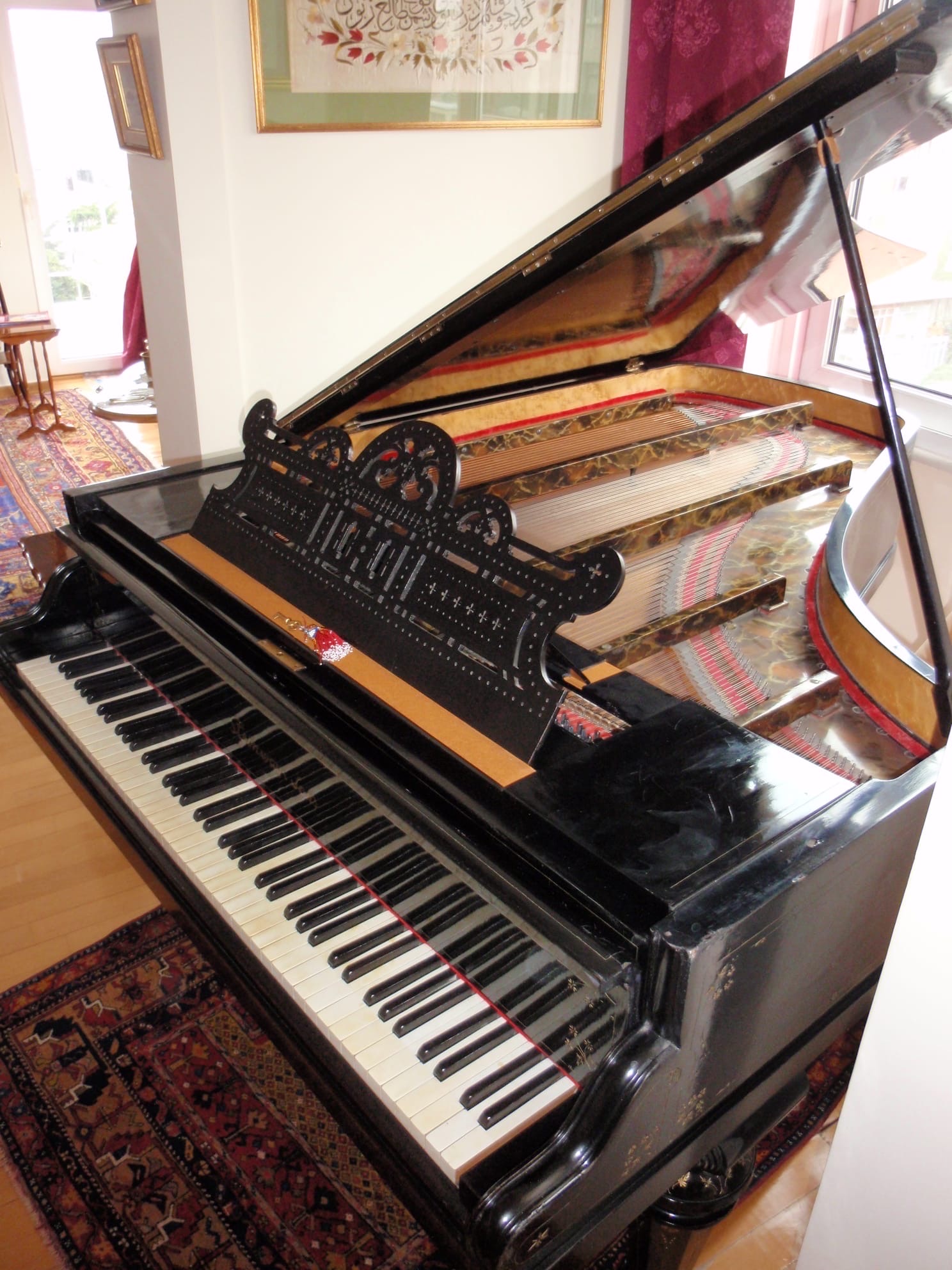 Steinway Kuyruklu Piano 3