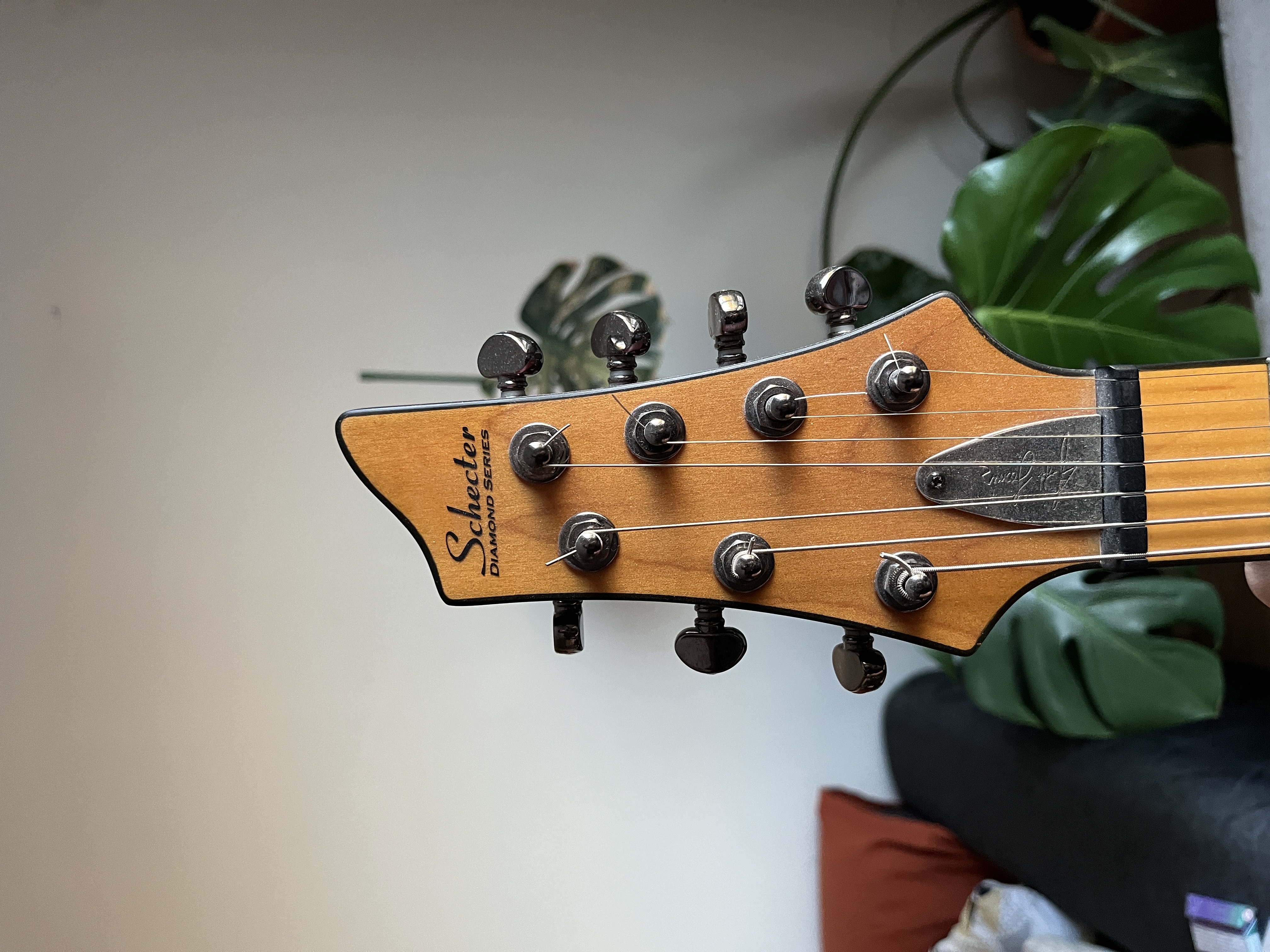 JL7 Jeff Loomis Signature 7 telli gitar 9