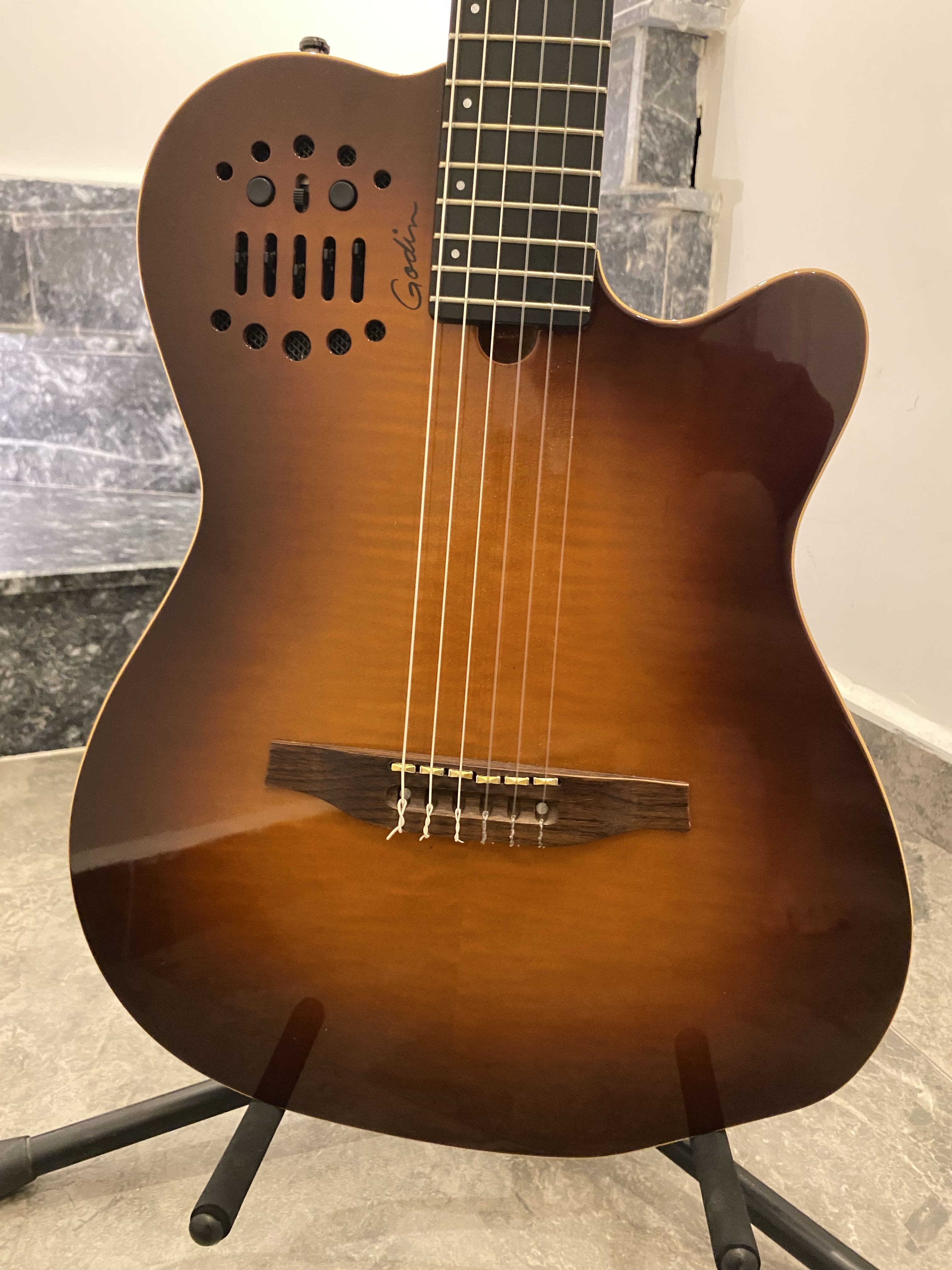 Godin ACS SA 2