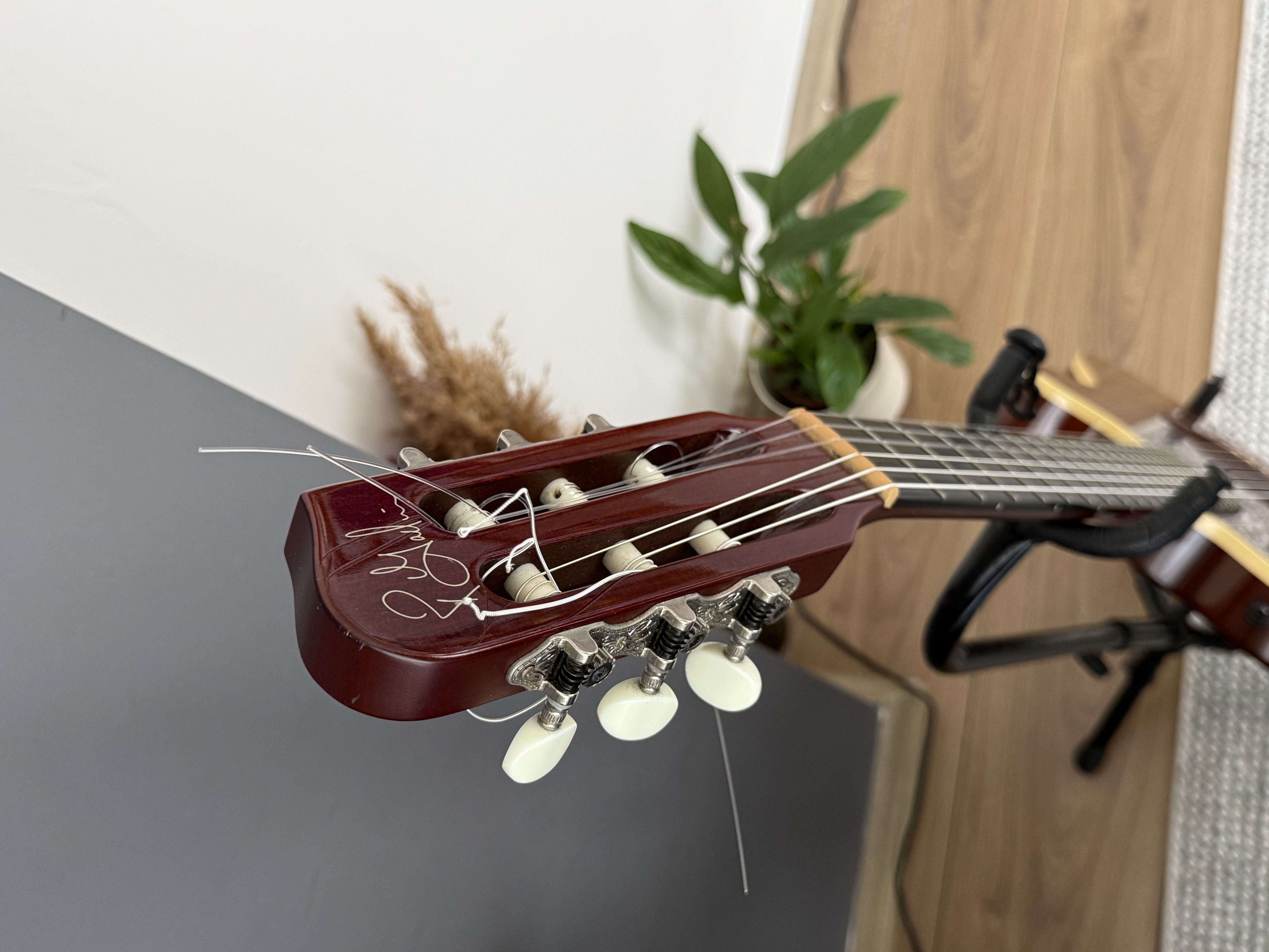 Godin Acs rosewood 3
