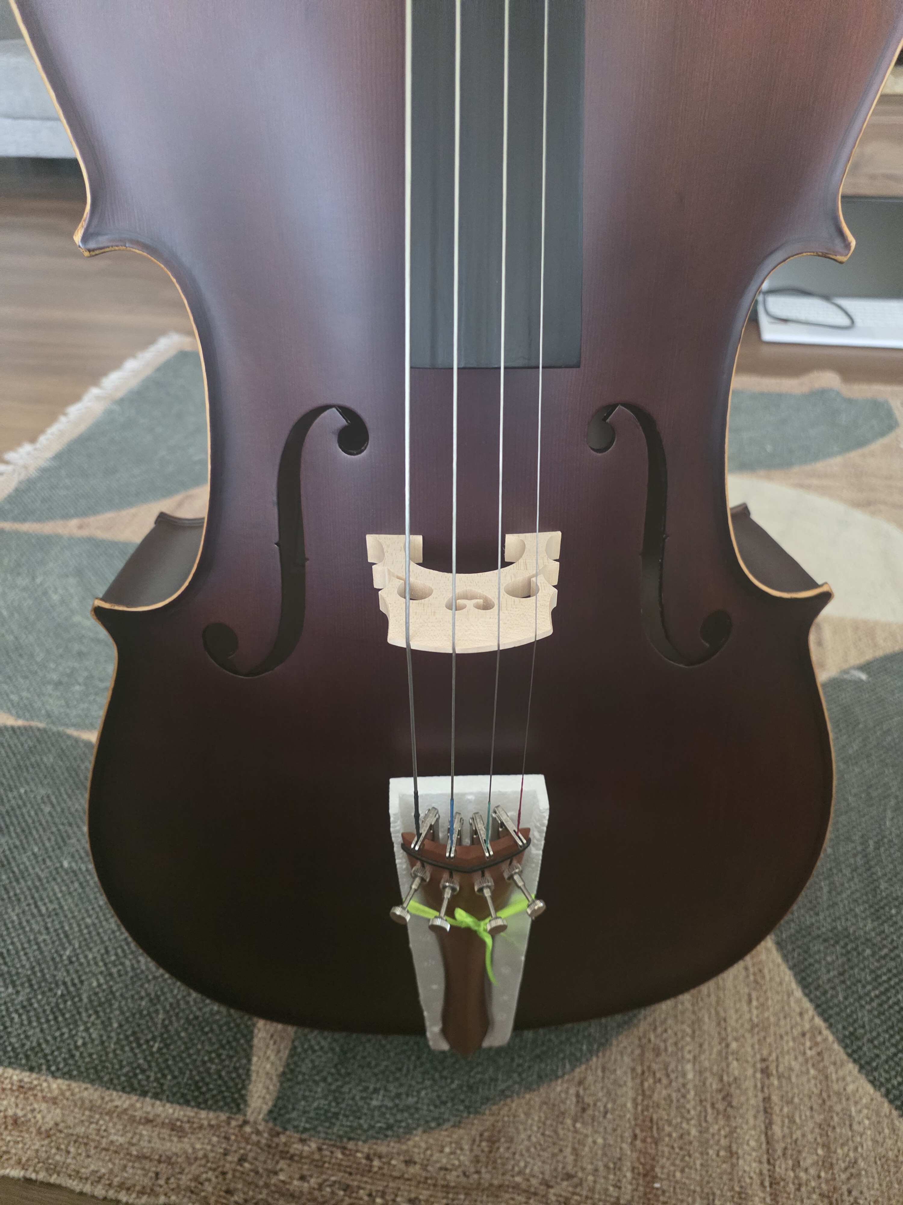 palmer çello 1