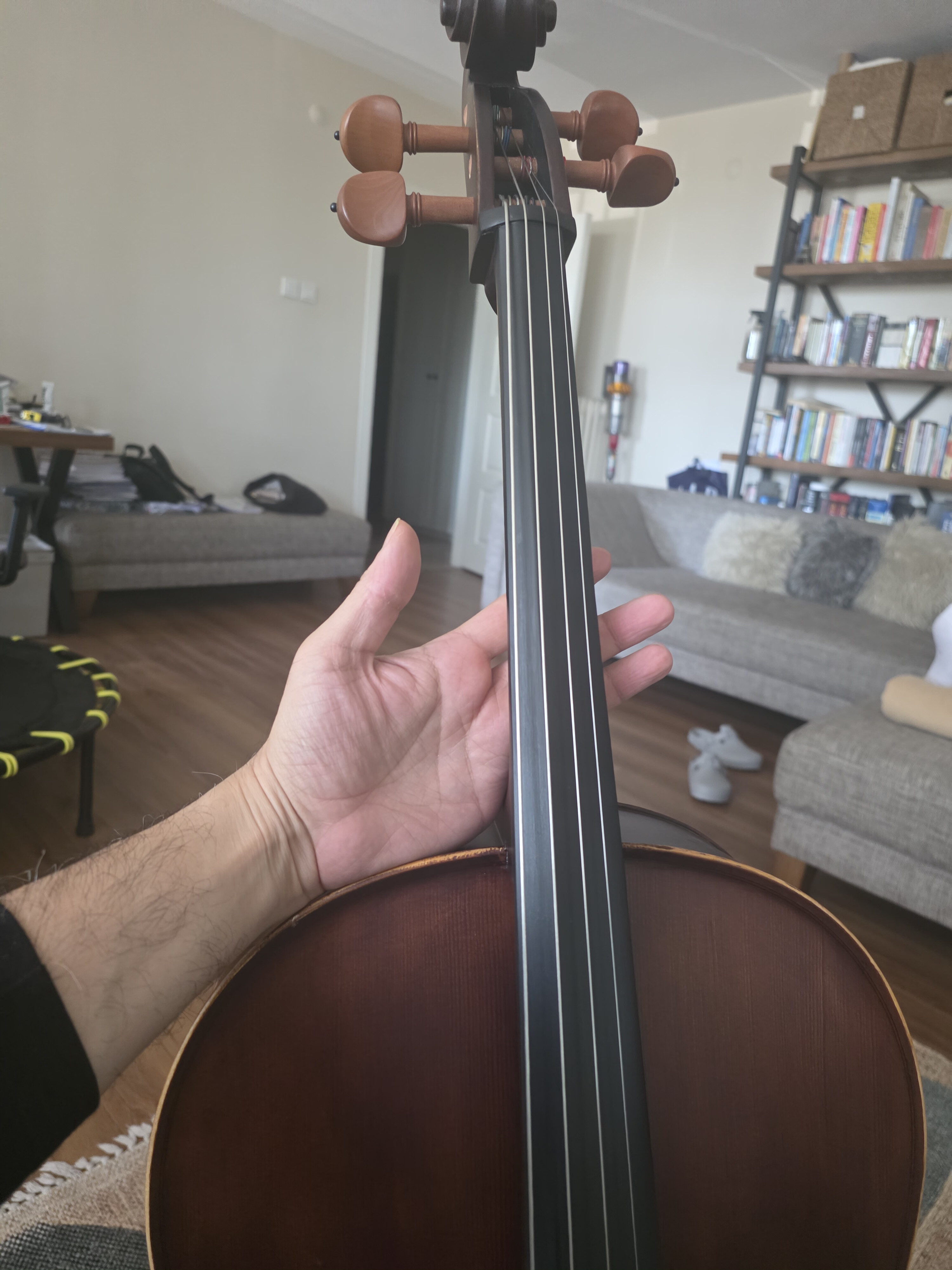 palmer çello 2