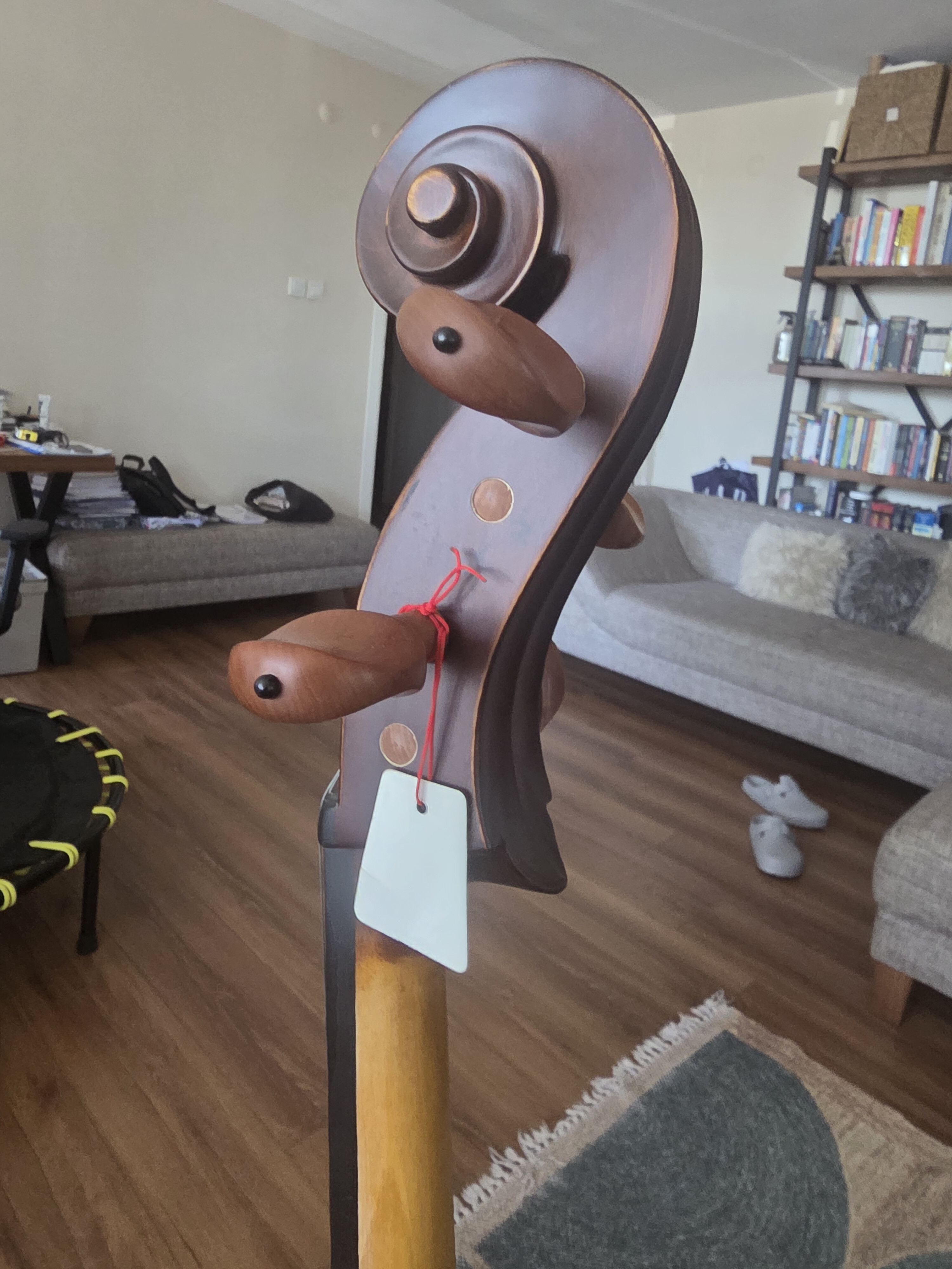 palmer çello 6