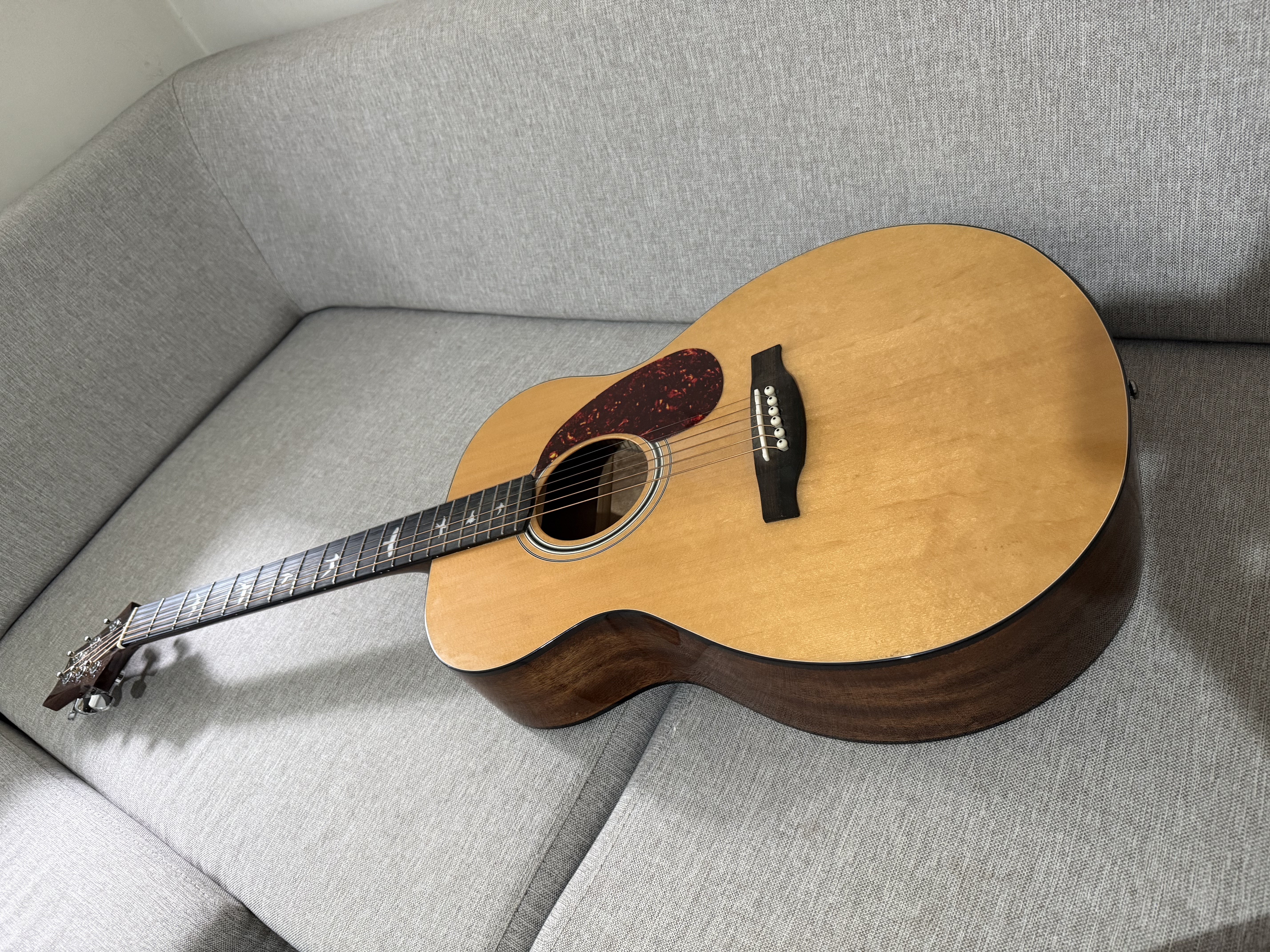 PRS SE TONARE TX20E 4