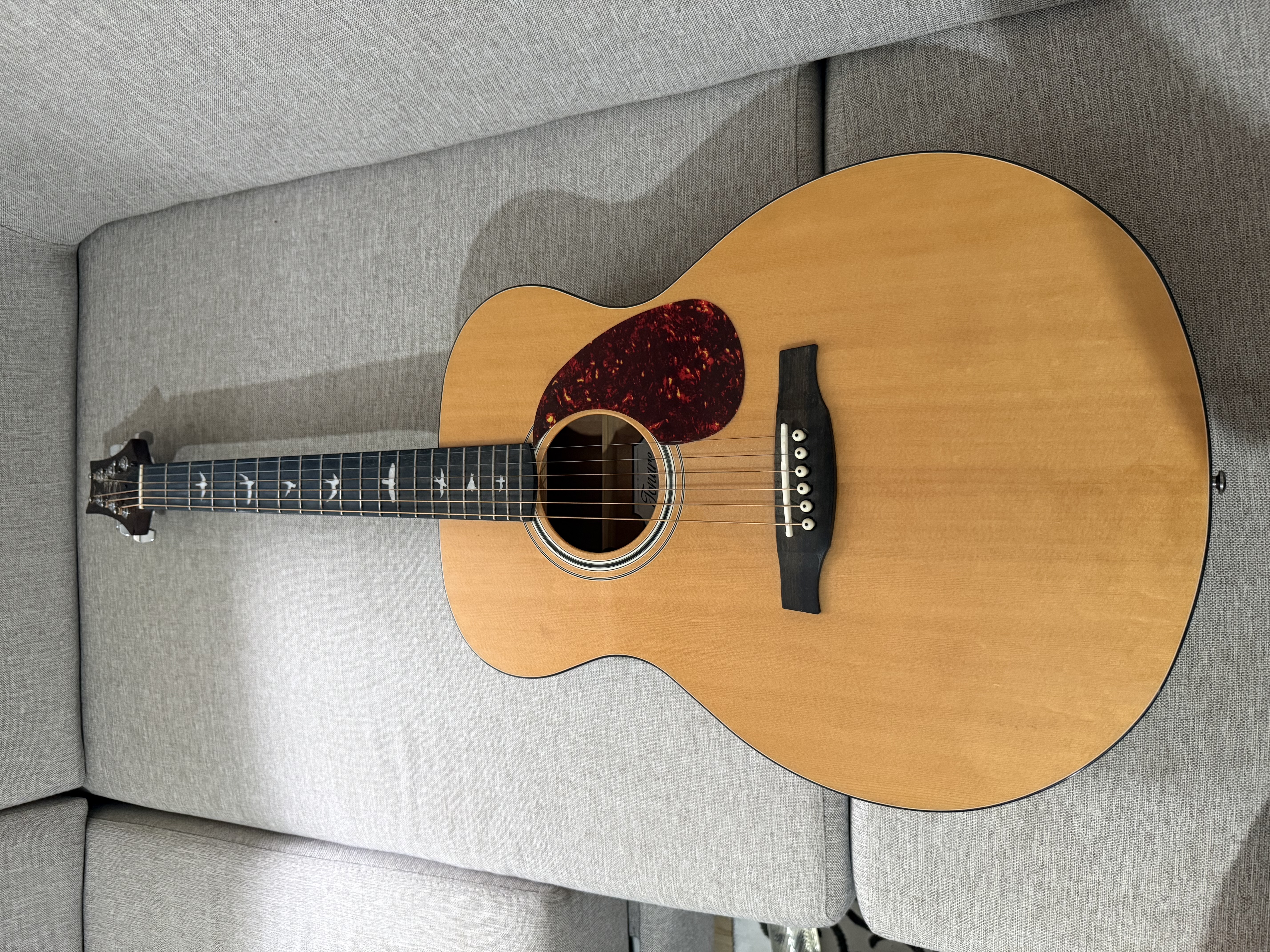 PRS SE TONARE TX20E 3