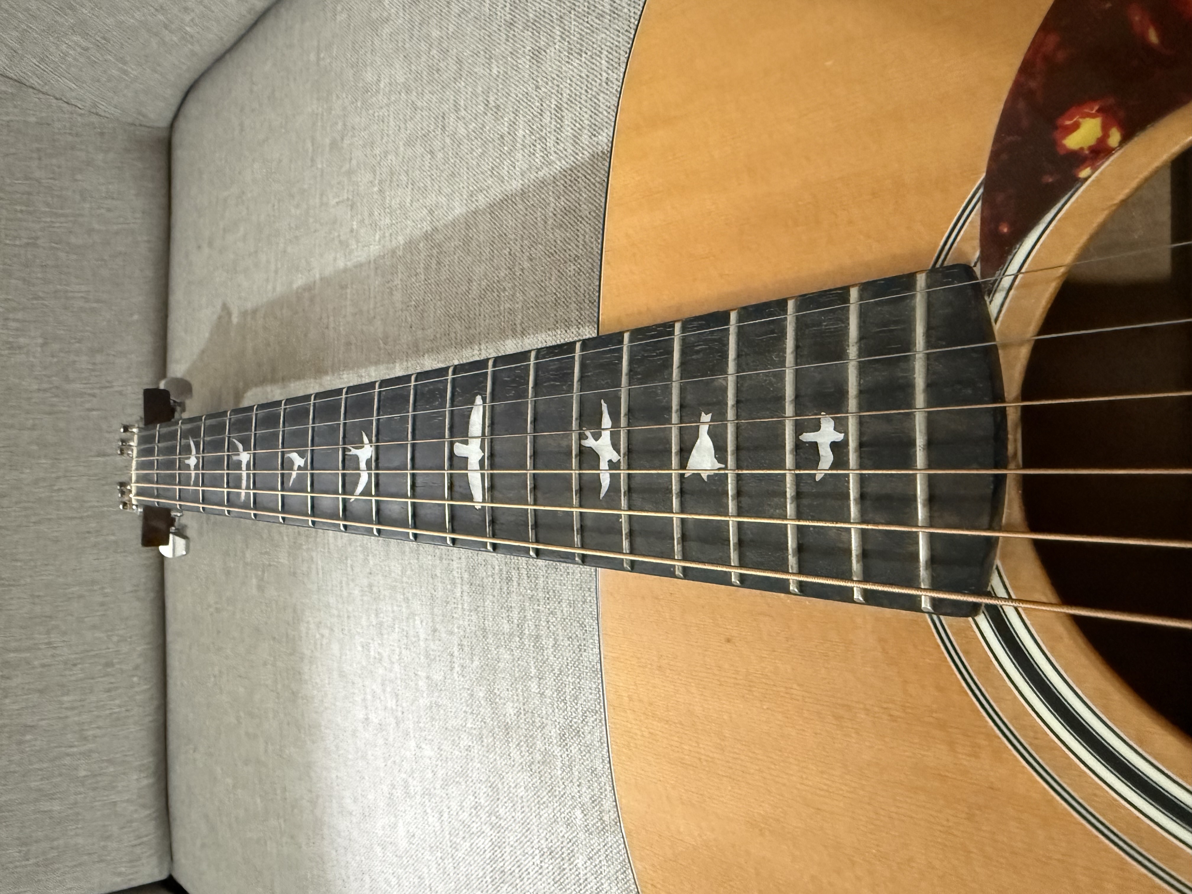 PRS SE TONARE TX20E 5