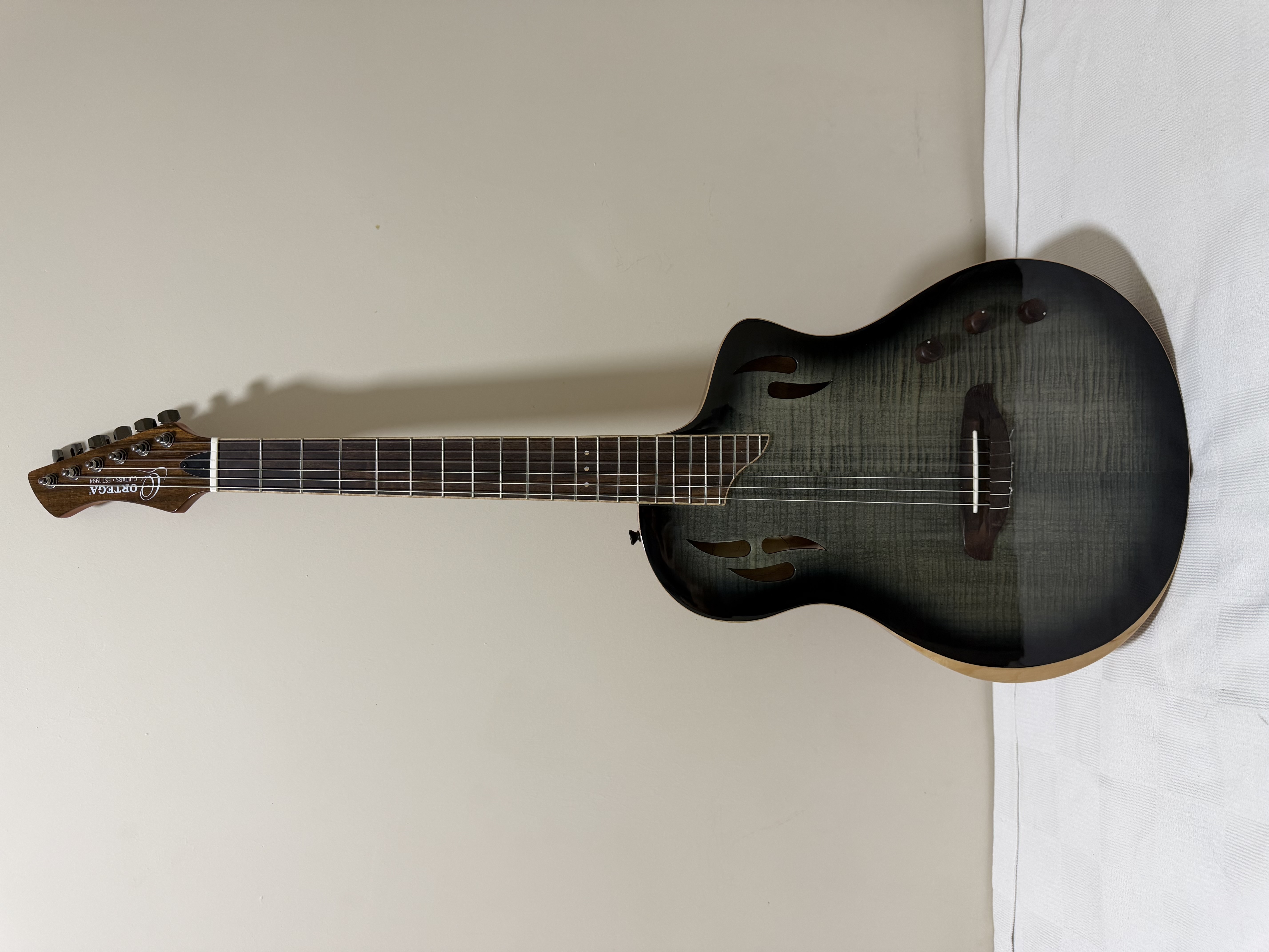 Ortega RTPG LS1 1