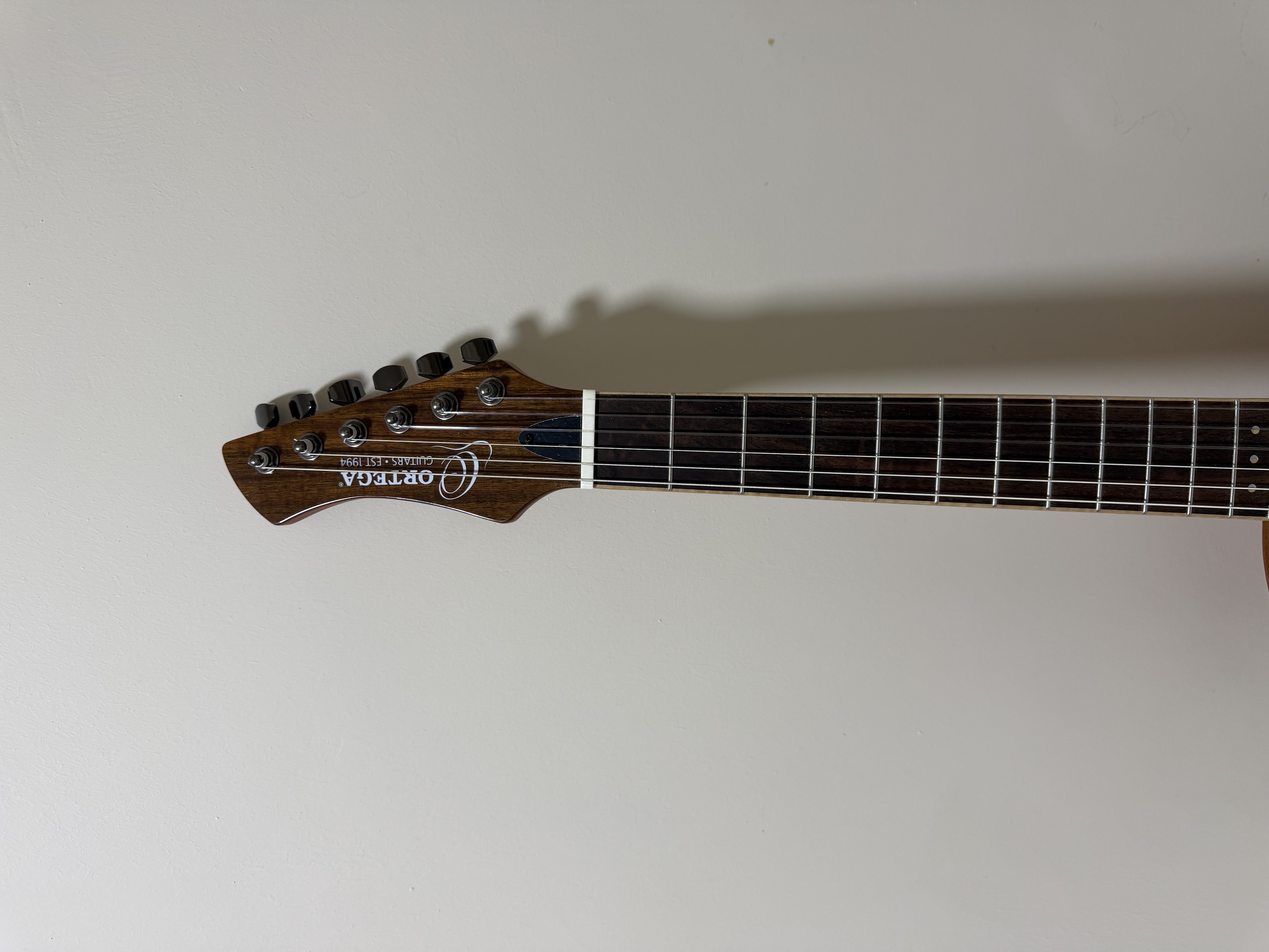 Ortega RTPG LS1 5