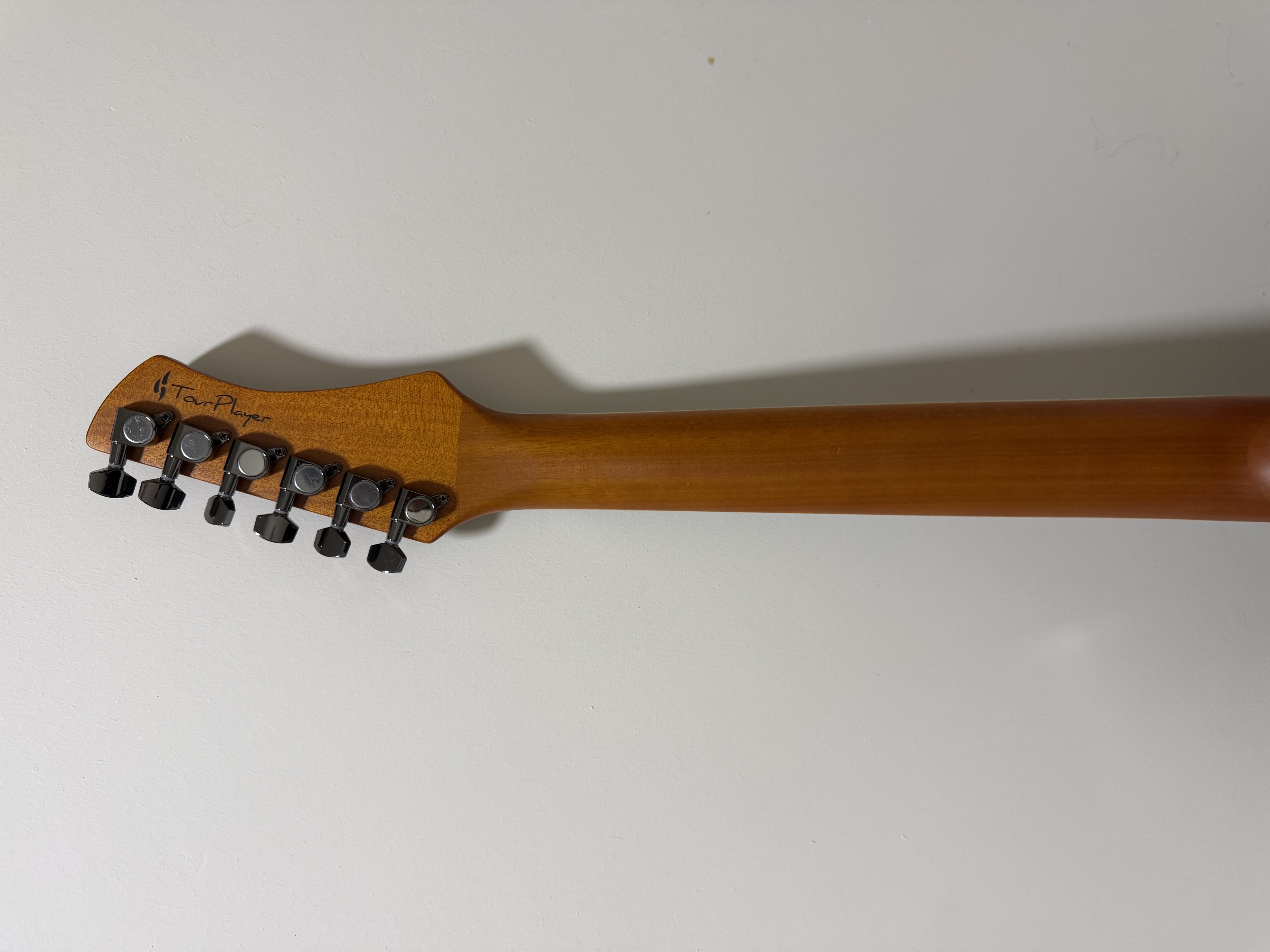 Ortega RTPG LS1 6