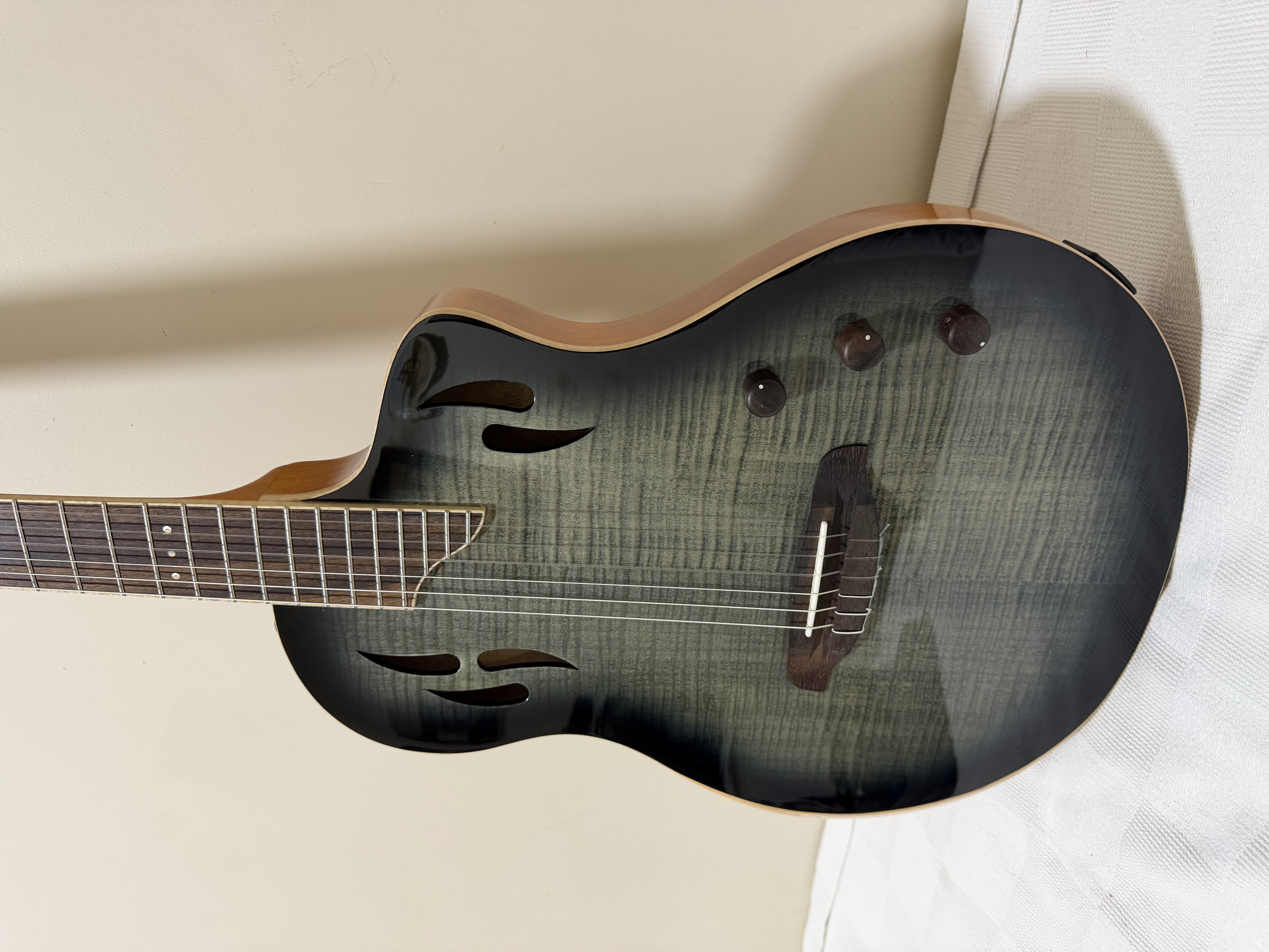 Ortega RTPG LS1 4