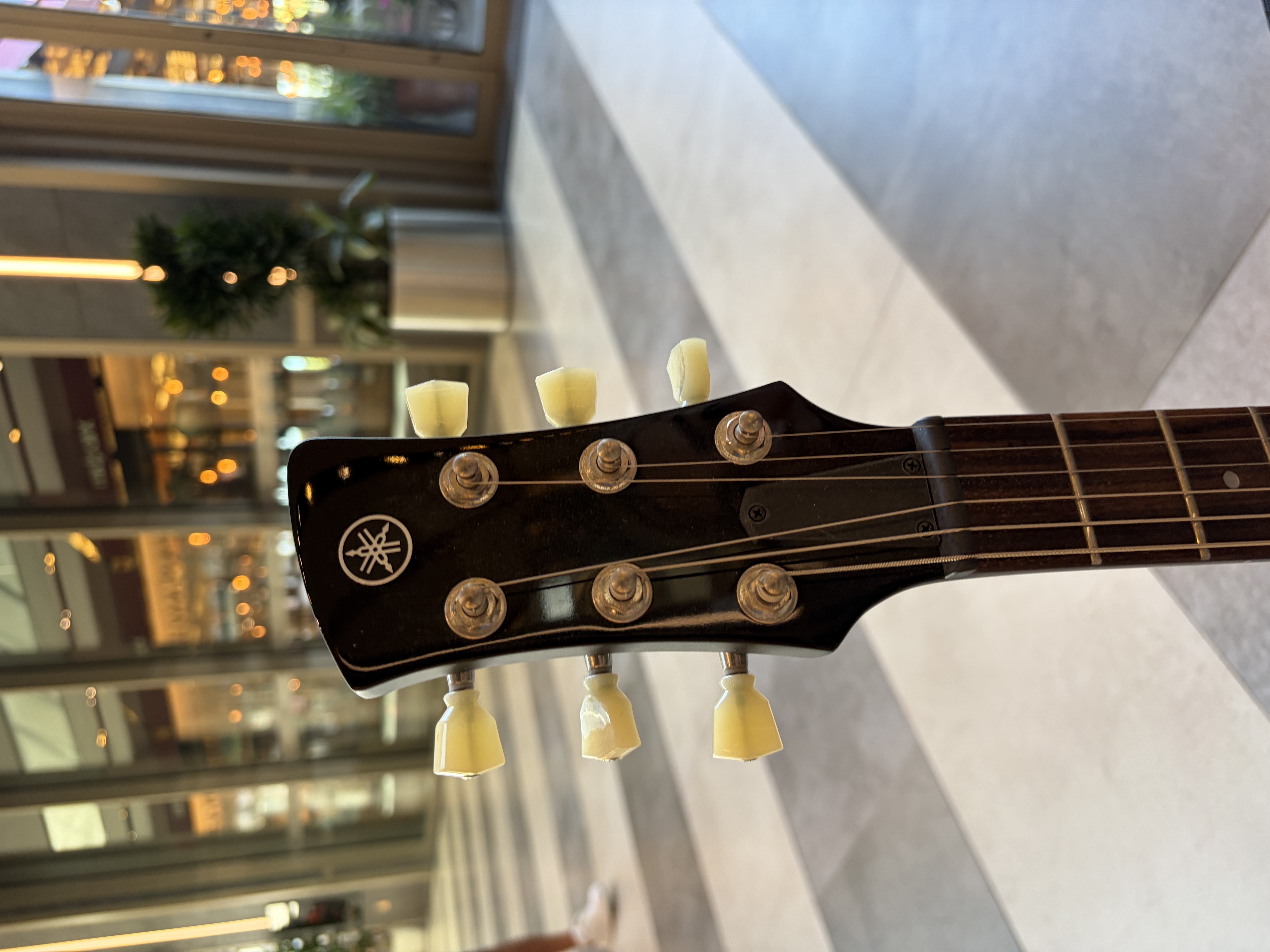 Yamaha Revstar RSE20 3