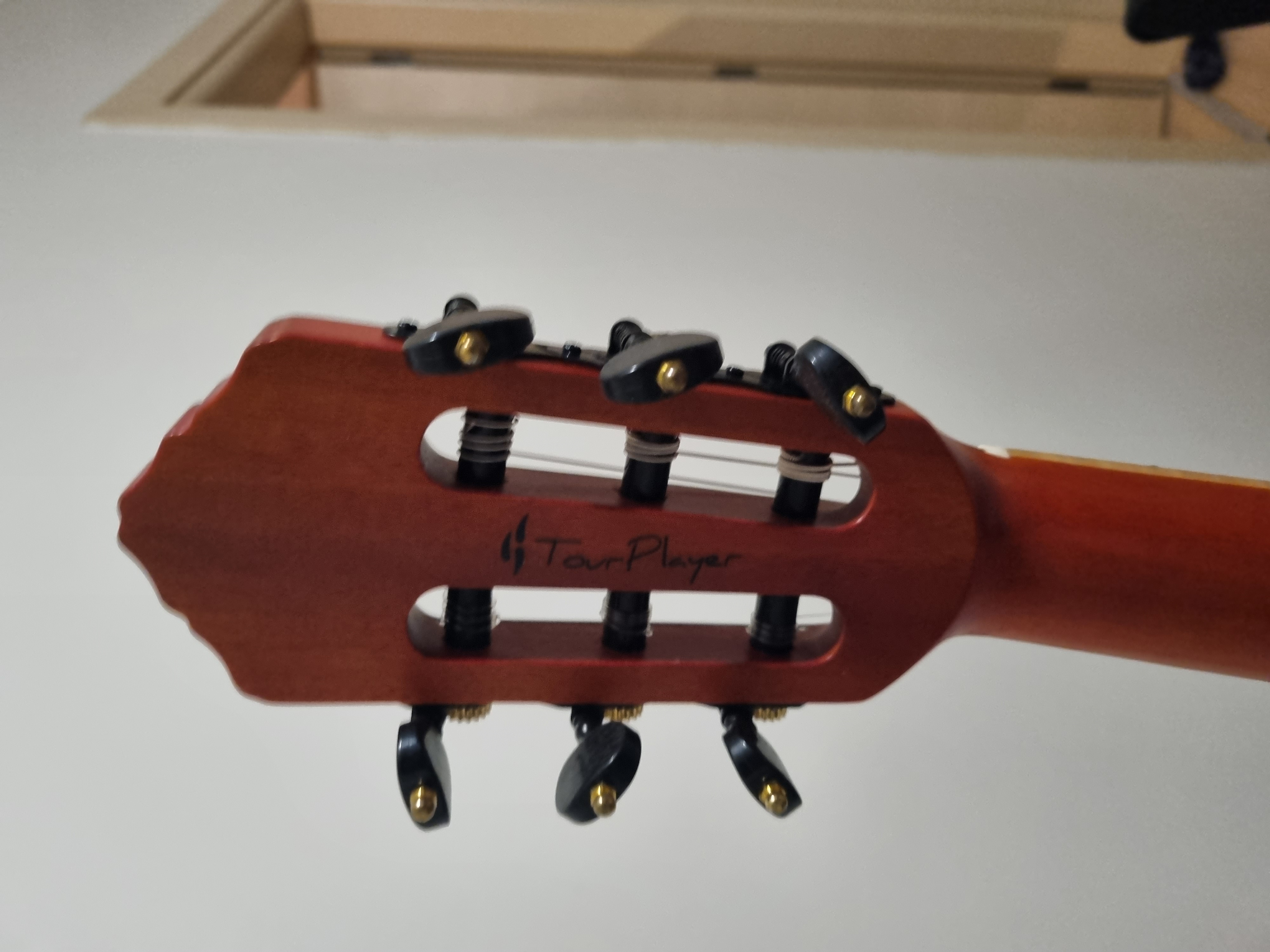 Ortega TourPlayer Deluxe RTPDLX- FMA Elektro Klasik Gitar (Blue Burst) 3