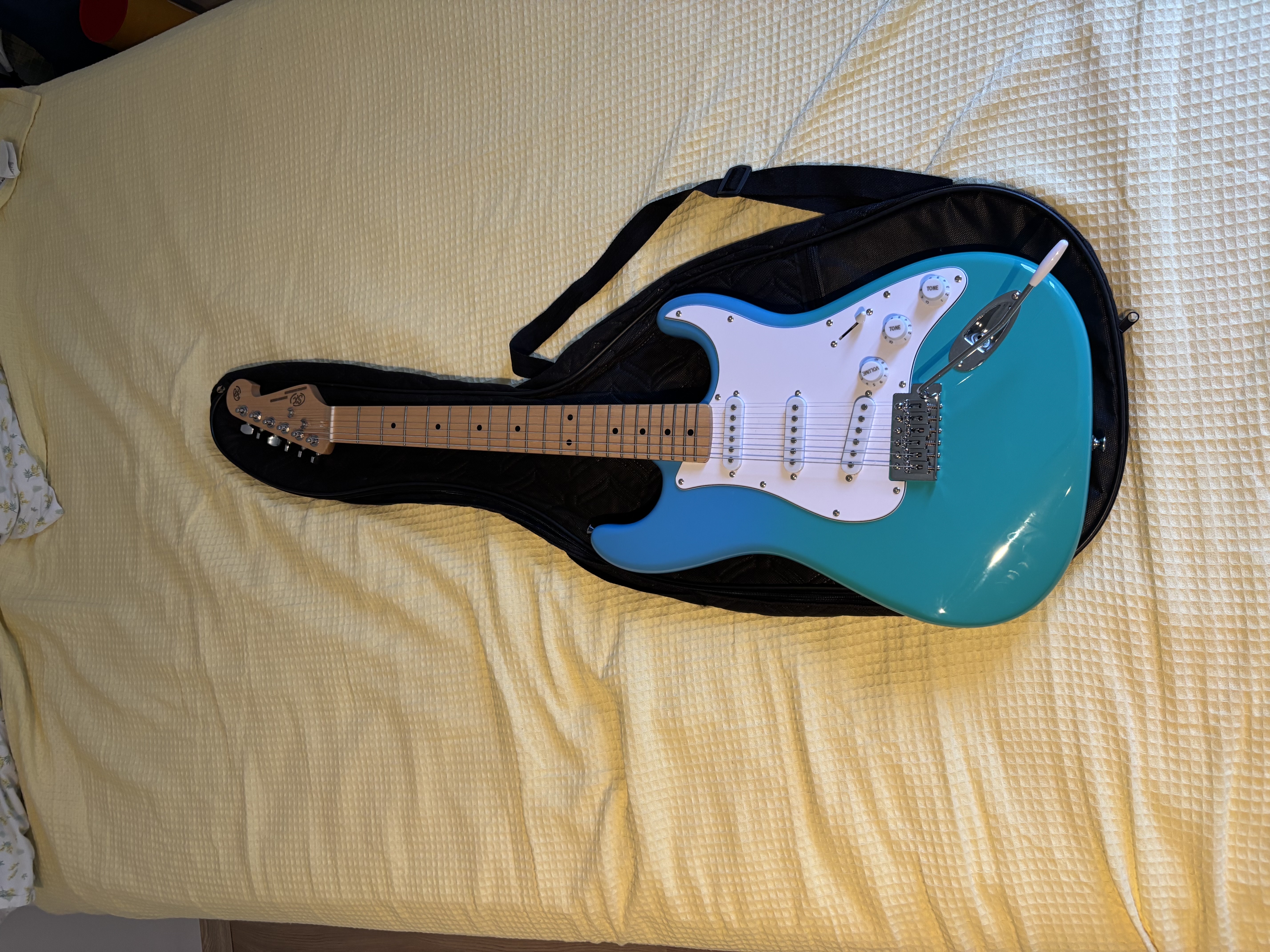 sx stratocaster SEM1 1