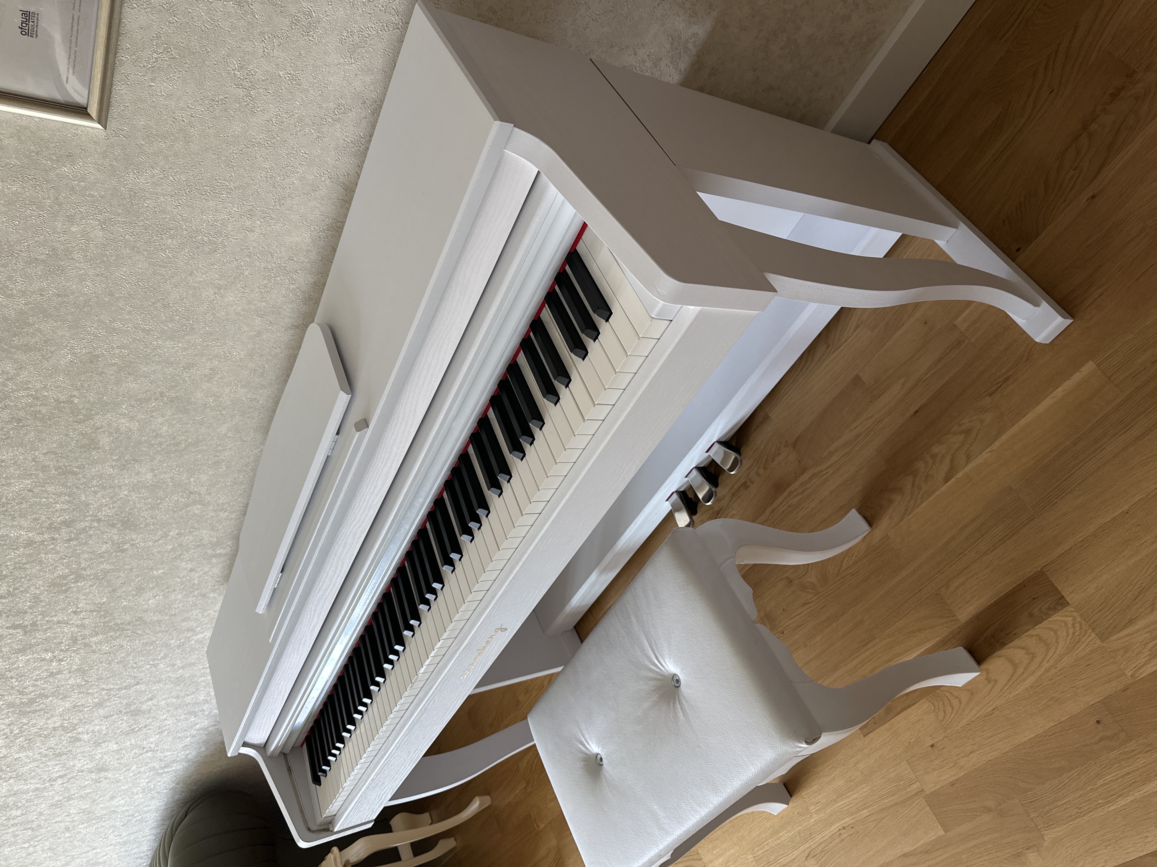 Arsenberg adp1955w 5