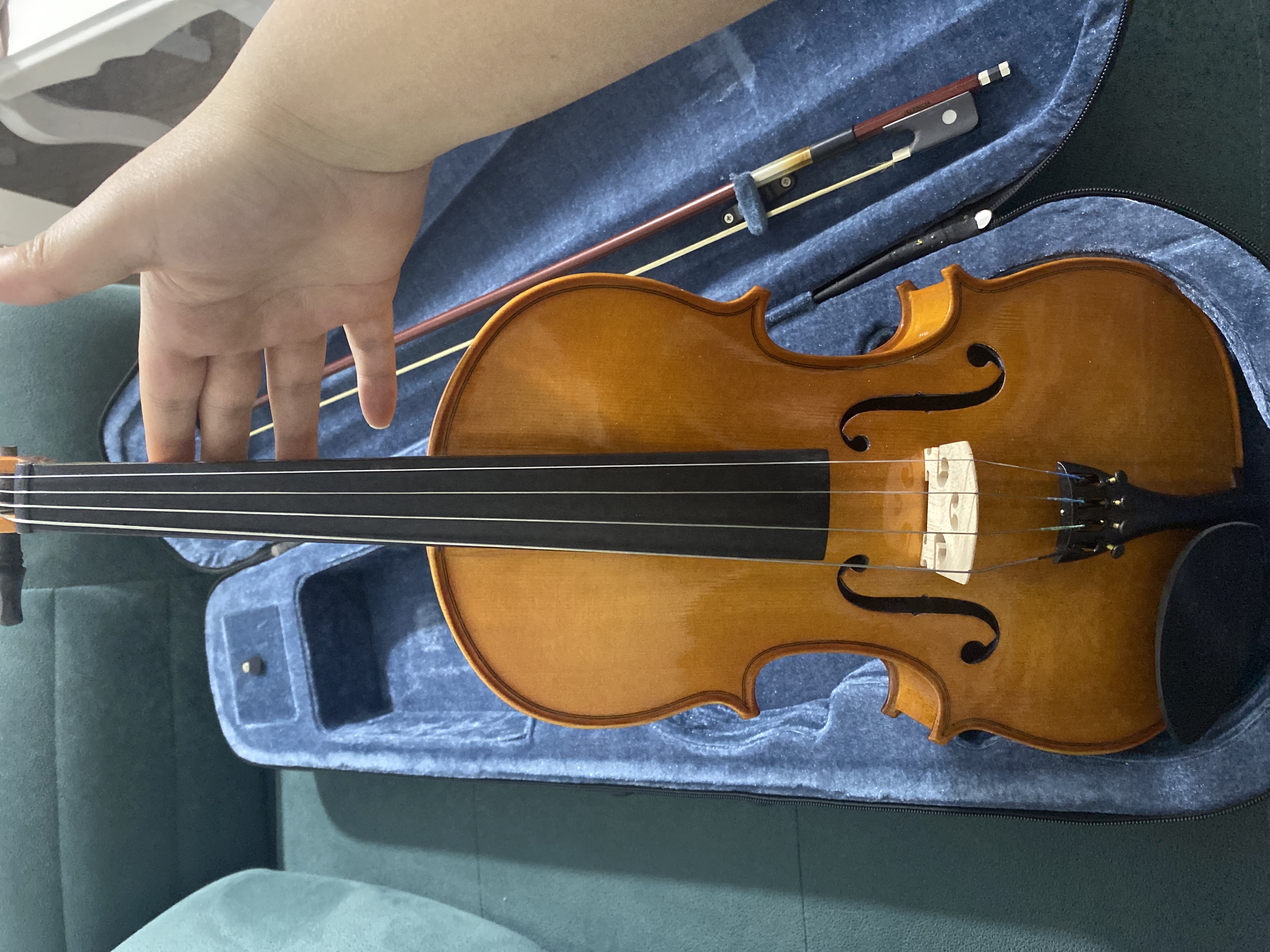valencia viyola 3