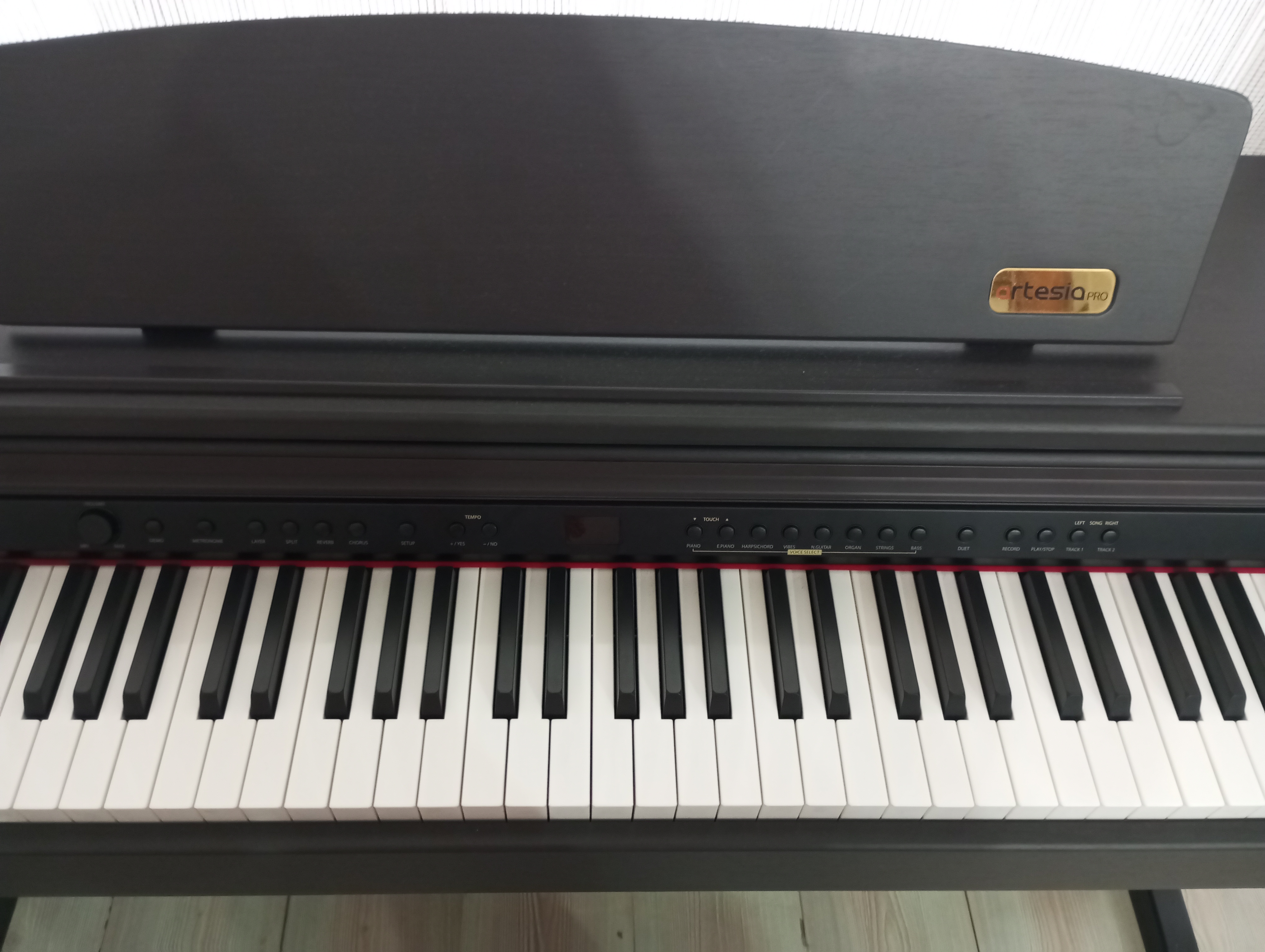 DP-3+ 2