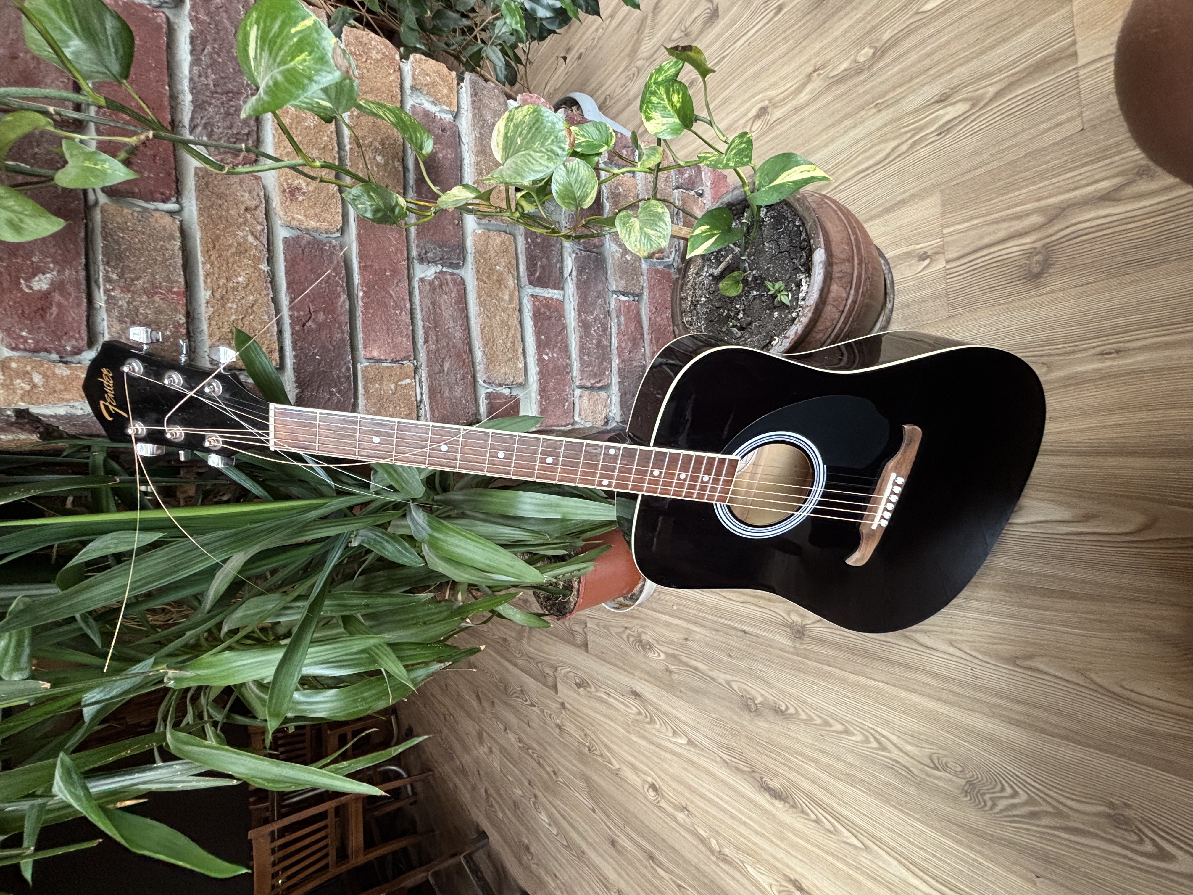 Fender fa 125 Akustik Gitar 1