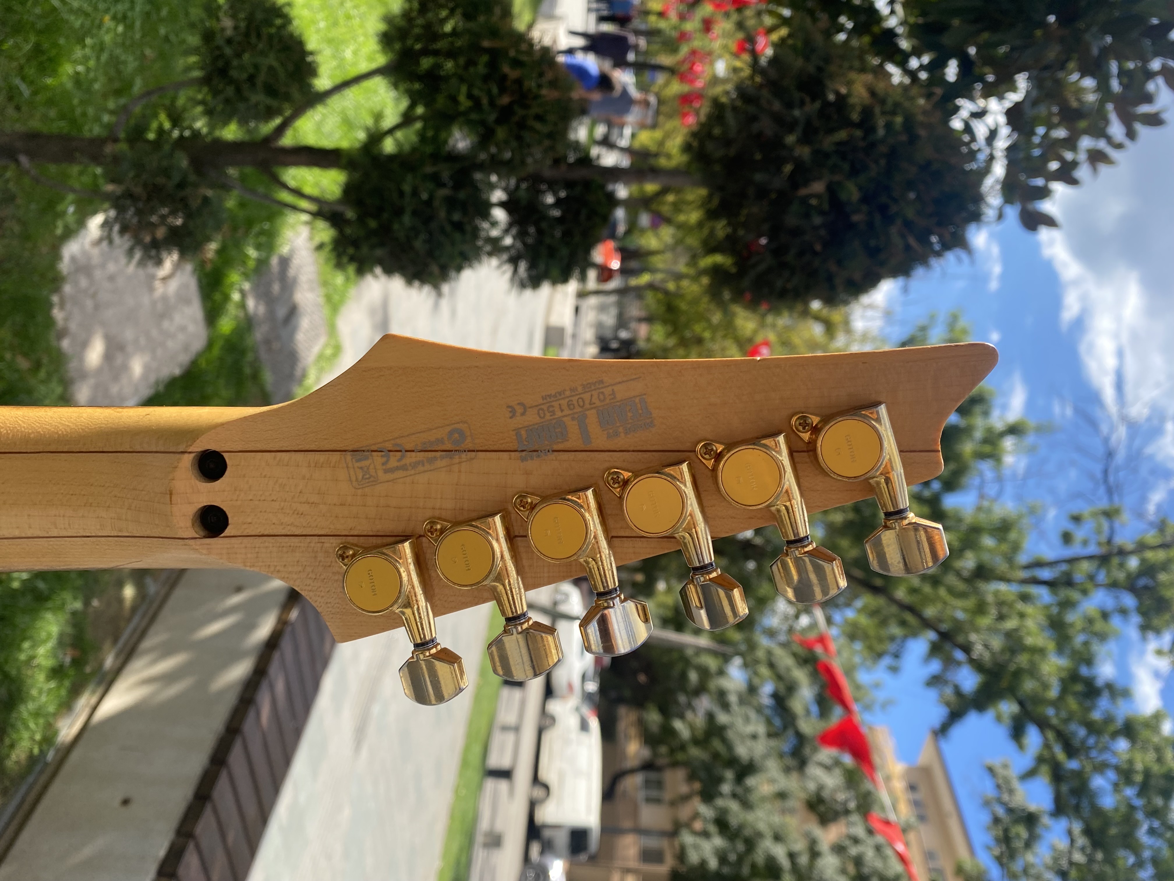 Ibanez Jem V7 4