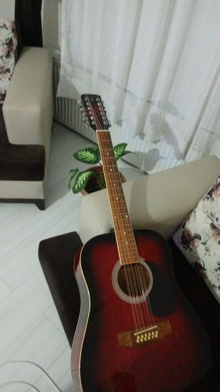 12 telli akustik gitar 1