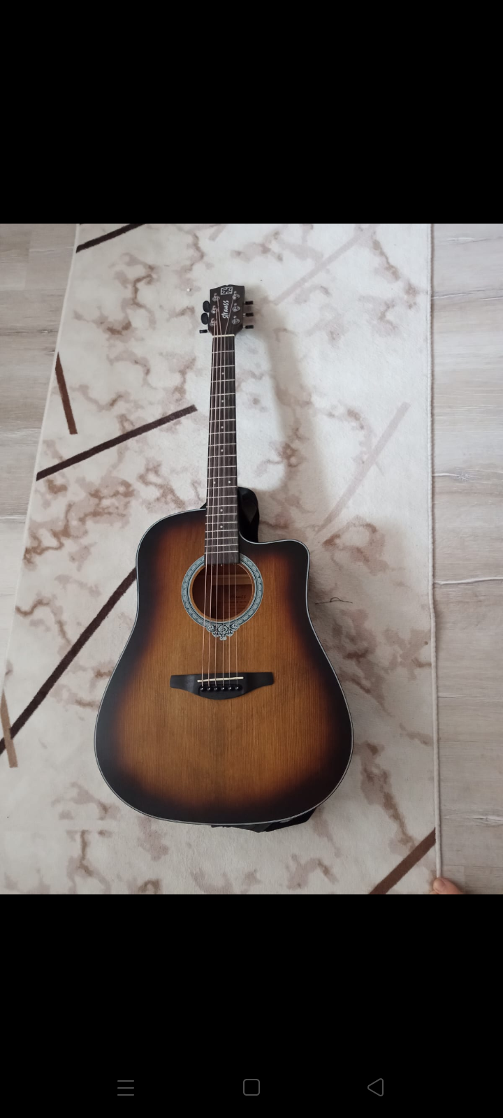 Strauss Akustik Gitar 1