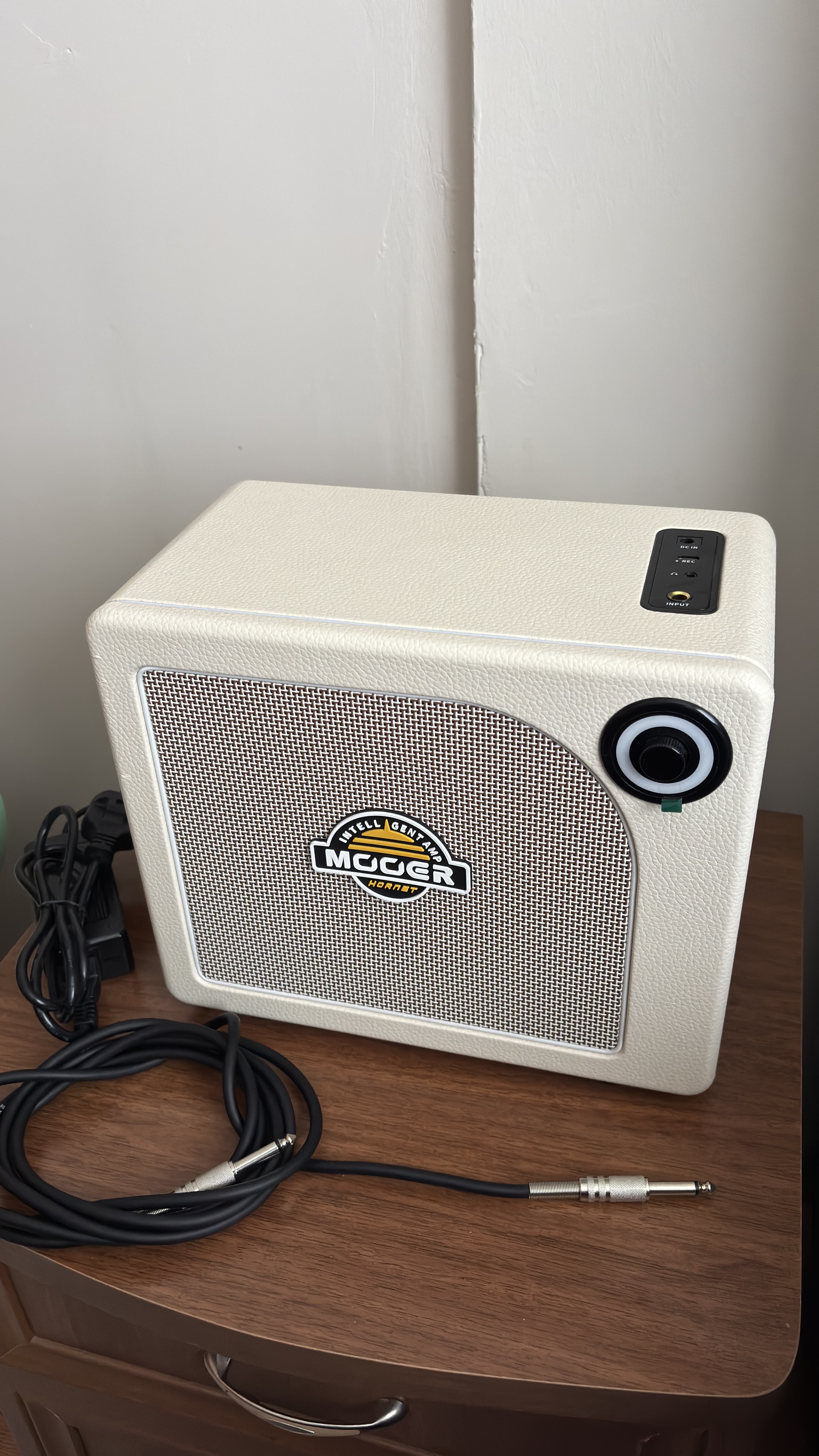 Mooer hornet DH15IWH akıllı amfi 1