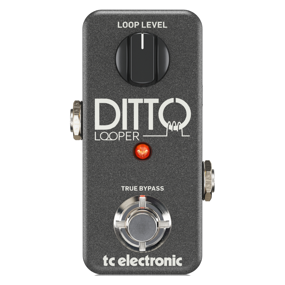TC Electronic Ditto Looper Gitar Efekt Pedalı 1