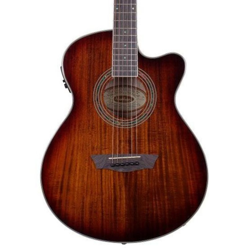 Washburn EA55G Festival Elektro Akustik Gitar 2