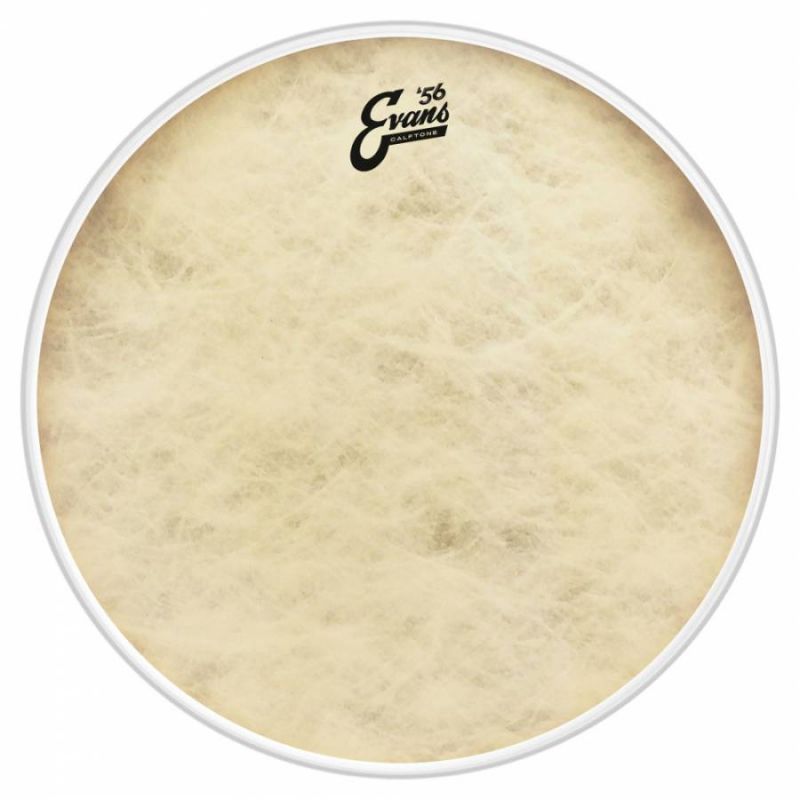EVANS BD16CT 1