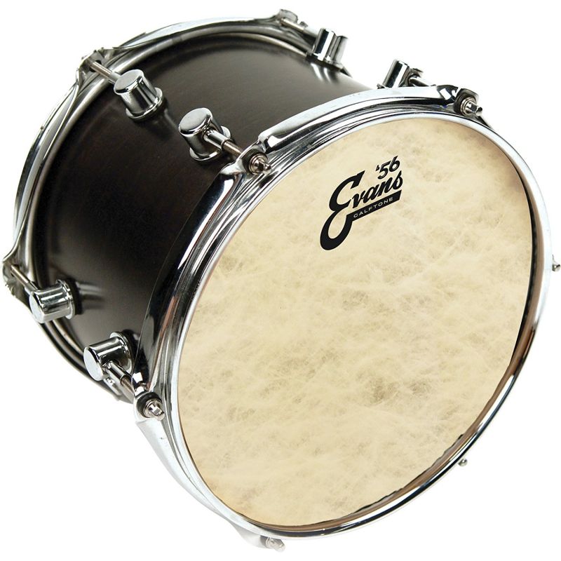 EVANS TT10C7 Davul Derisi 2