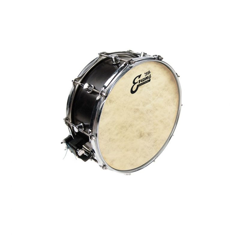 EVANS TT16C7 Davul Derisi 2