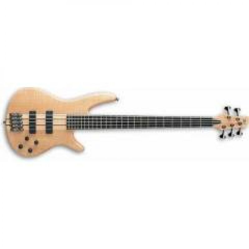 IBANEZ SR1005EFMNTF Bas Gitar 1