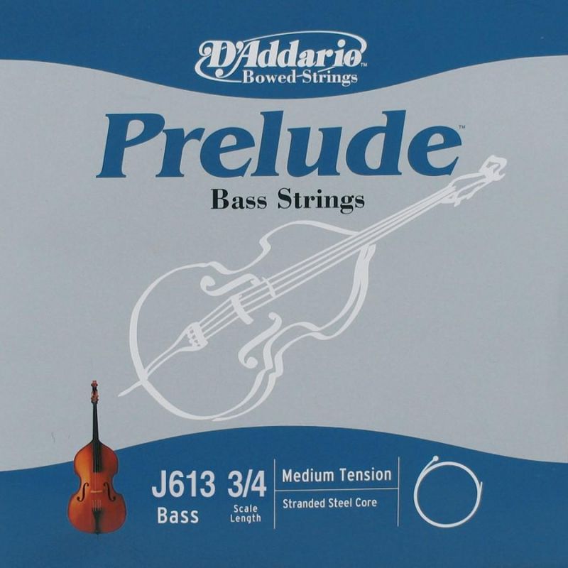 DADDARIO J613 1