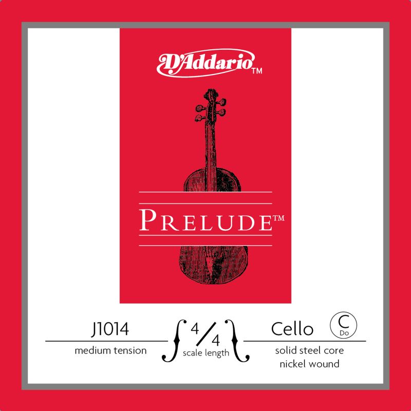 DADDARIO J1014 4/4M 1